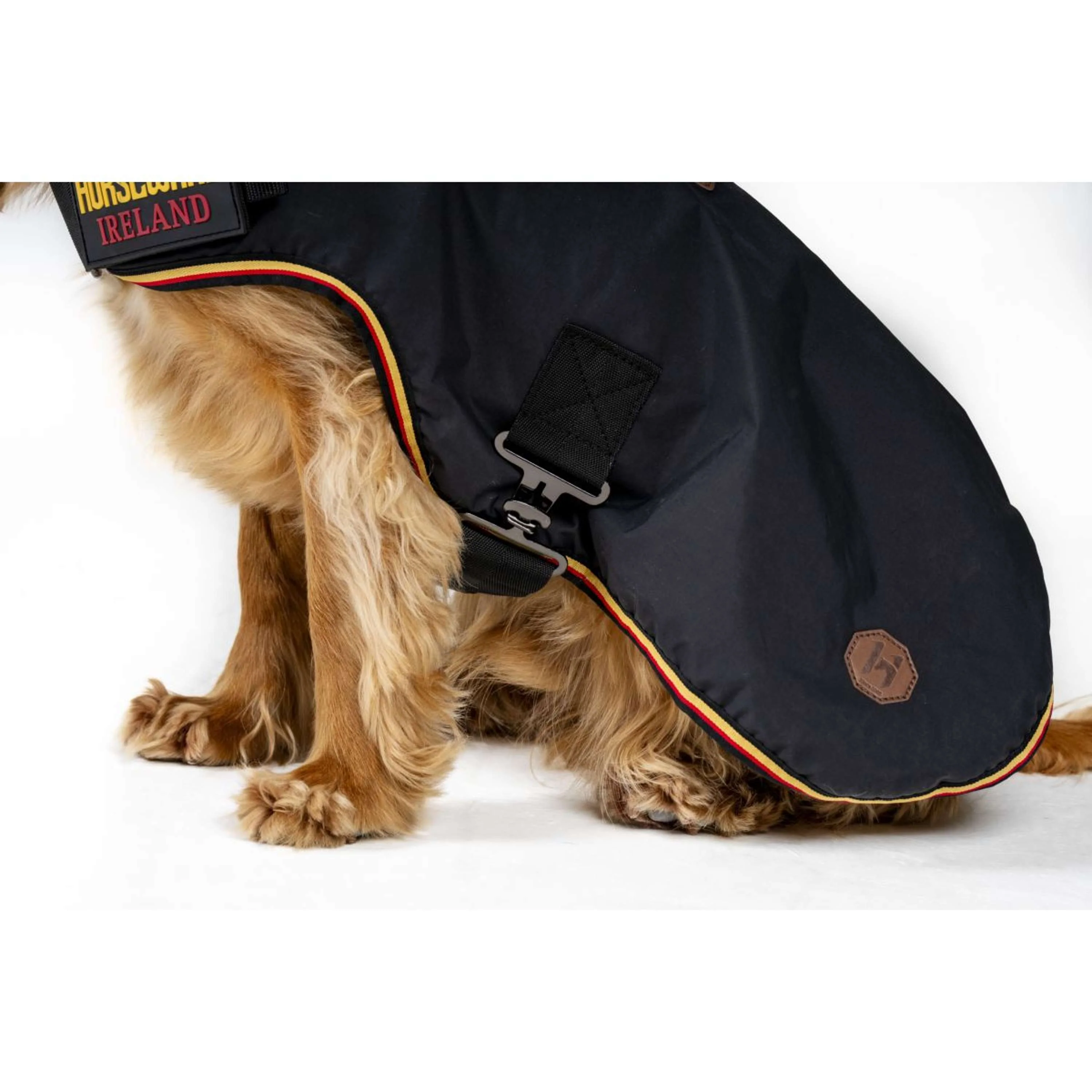 Horseware Couverture pour Chien Newmarket Witney Gold - Image 8