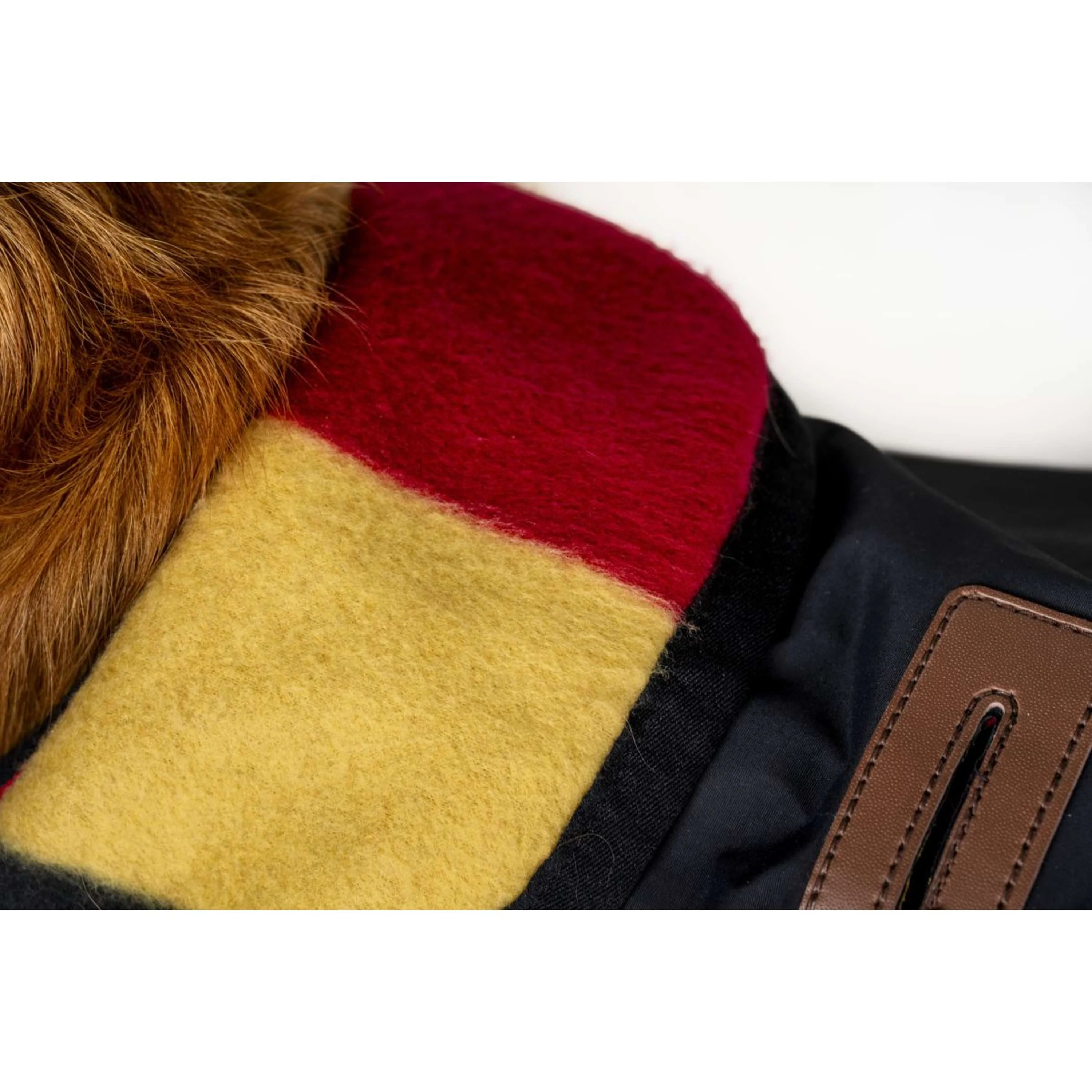 Horseware Couverture pour Chien Newmarket Witney Gold - Image 9