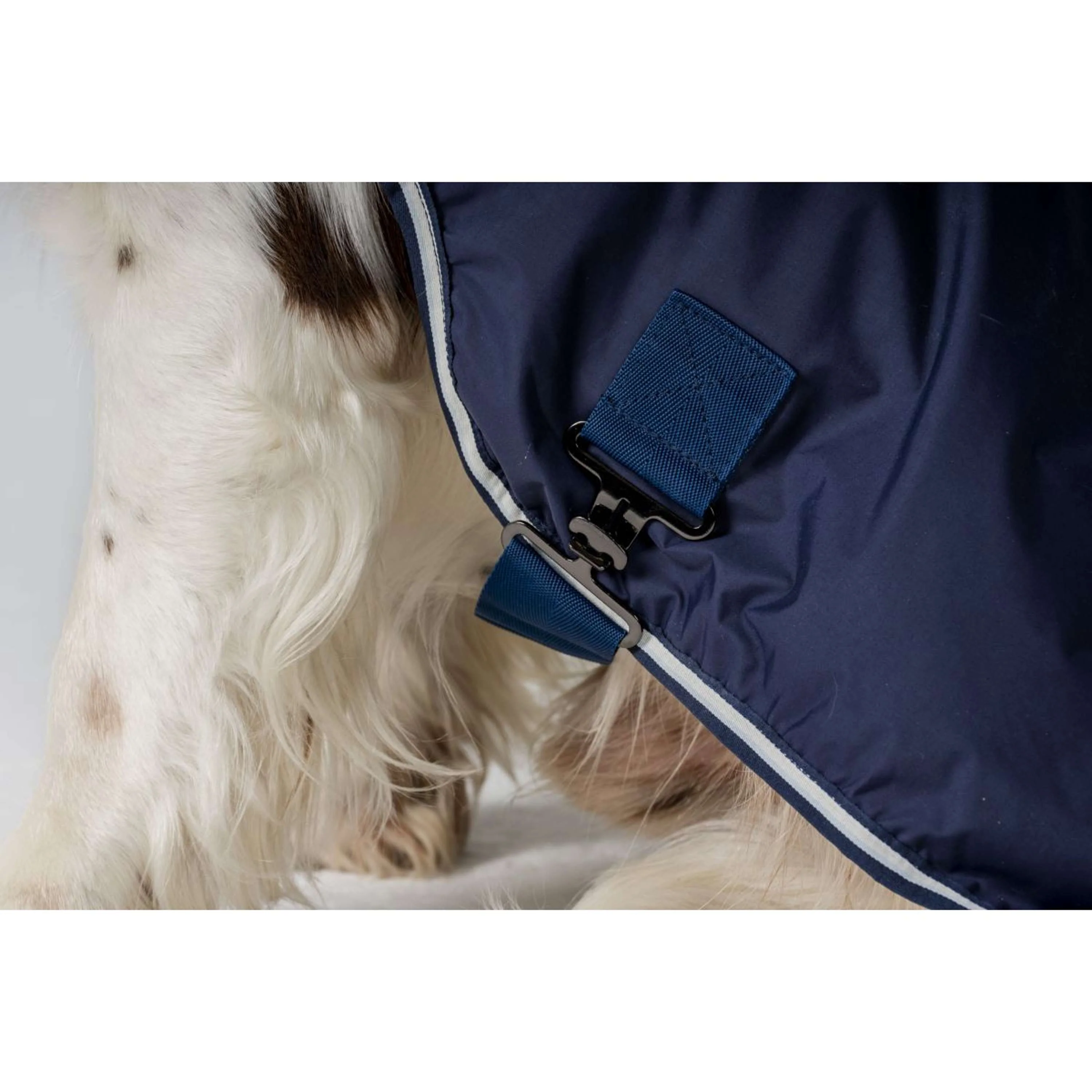 Horseware Couverture pour Chien Newmarket Witney Navy - Image 6