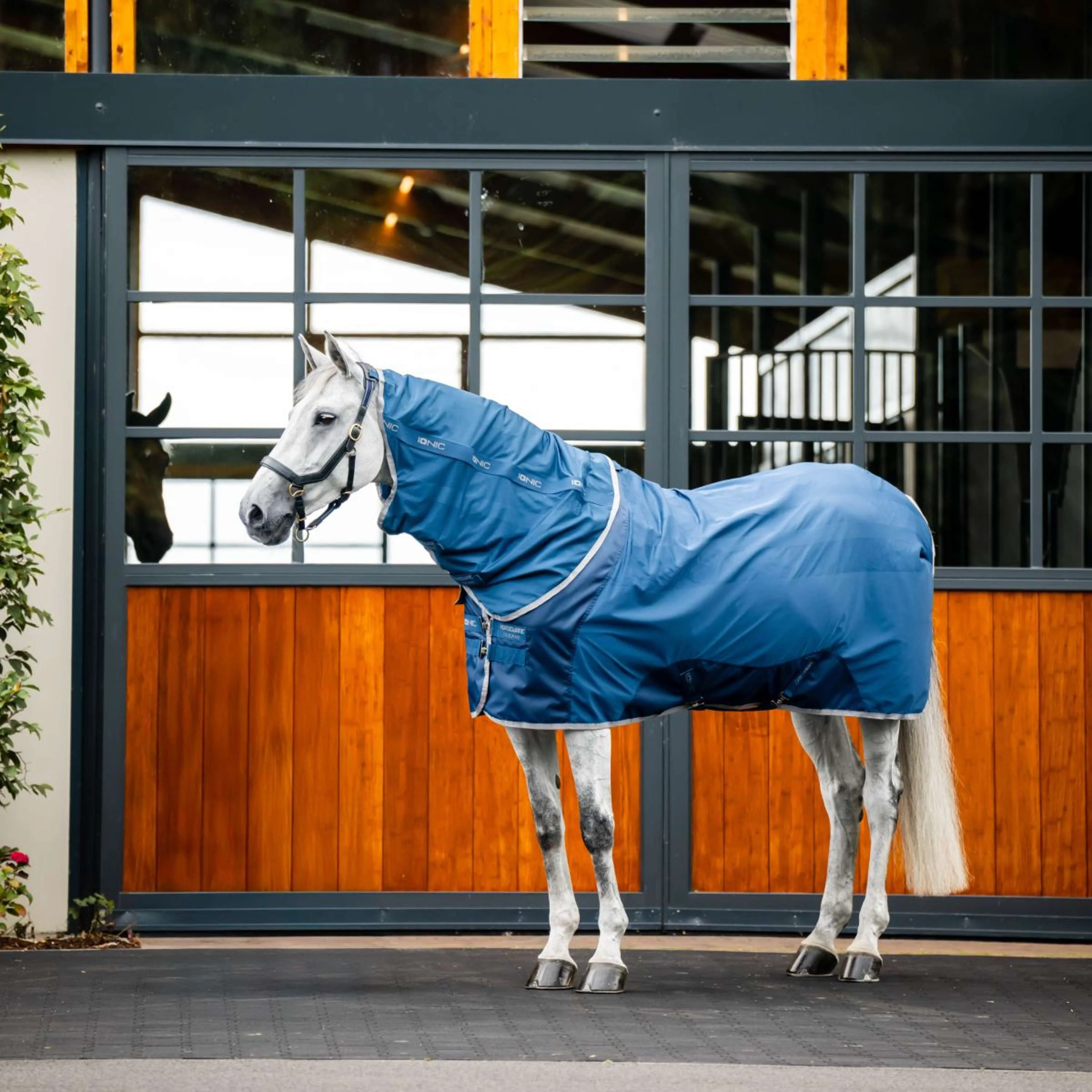 Horseware Couvre-Cou Therapy Mesh Cooler Bleu Impérial/Argent/Marine - Image 2