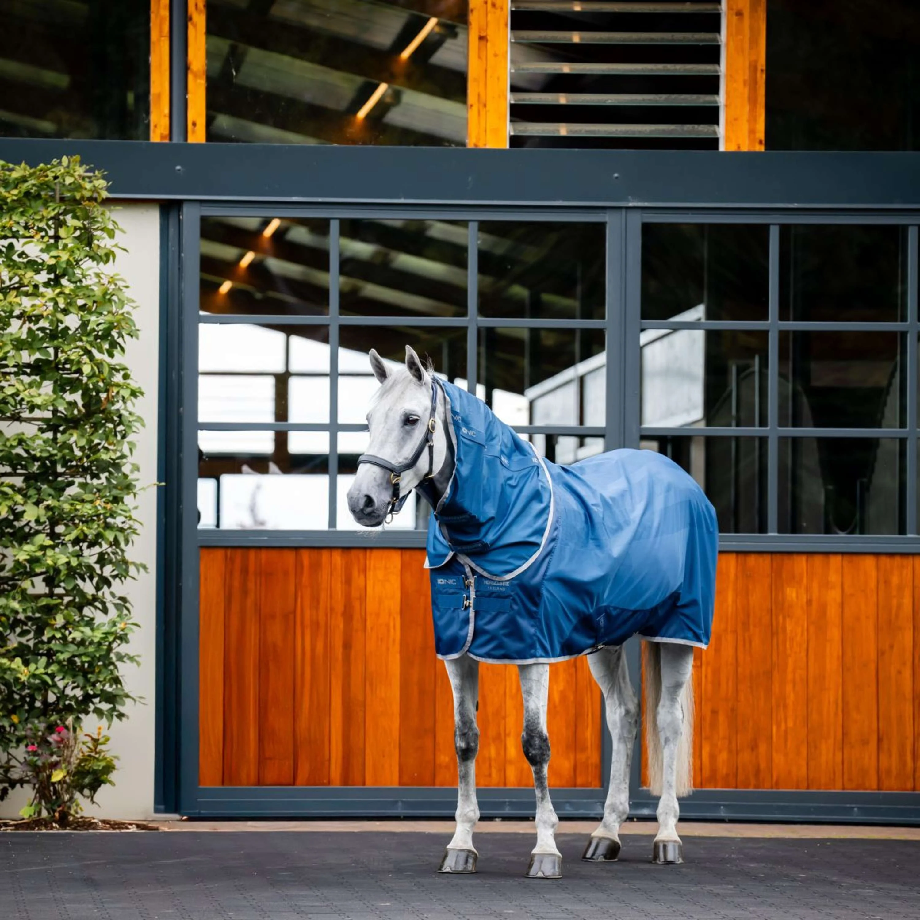 Horseware Couvre-Cou Therapy Mesh Cooler Bleu Impérial/Argent/Marine - Image 3