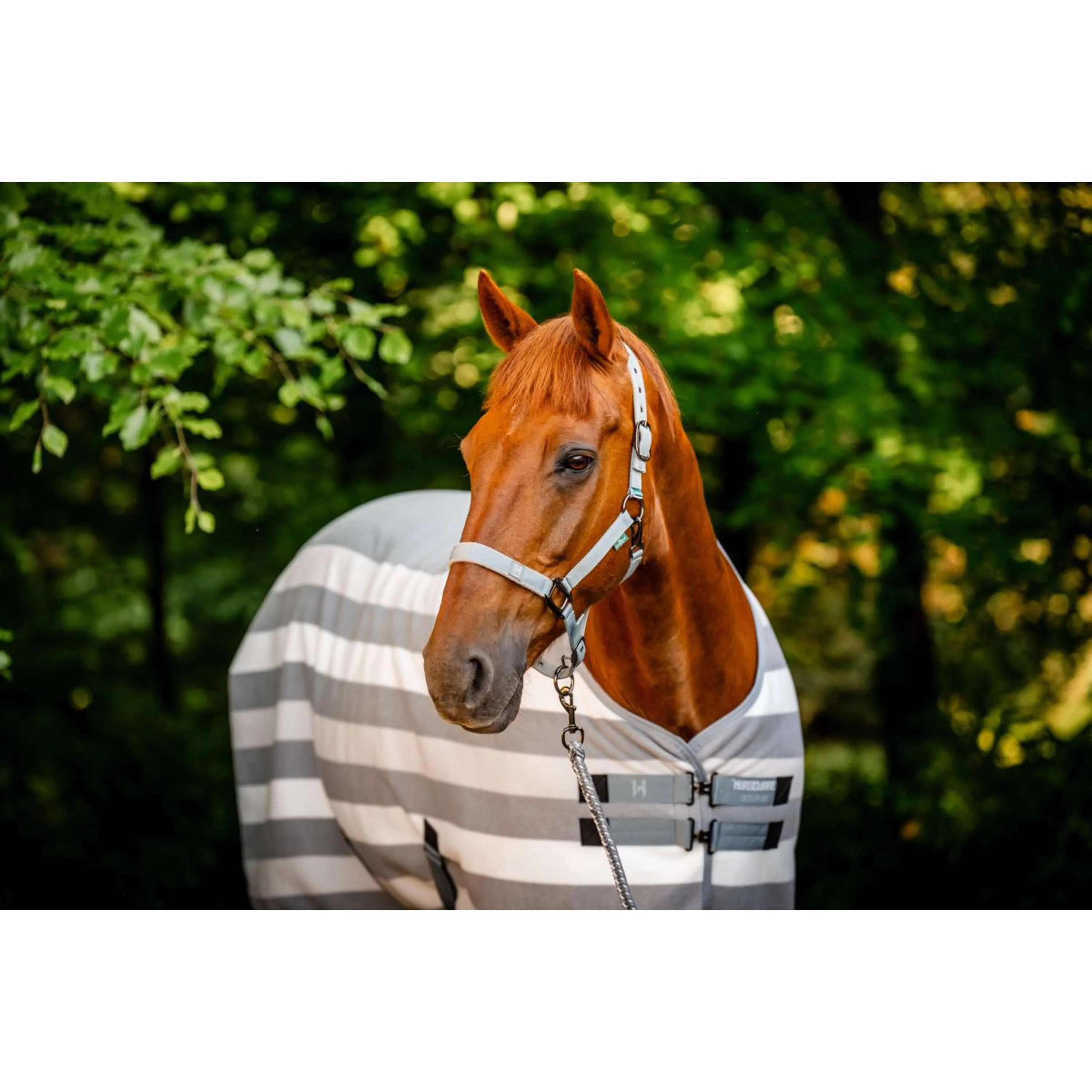 Horseware Fleece Cooler Newmarket Witney Charcoal - Image 2