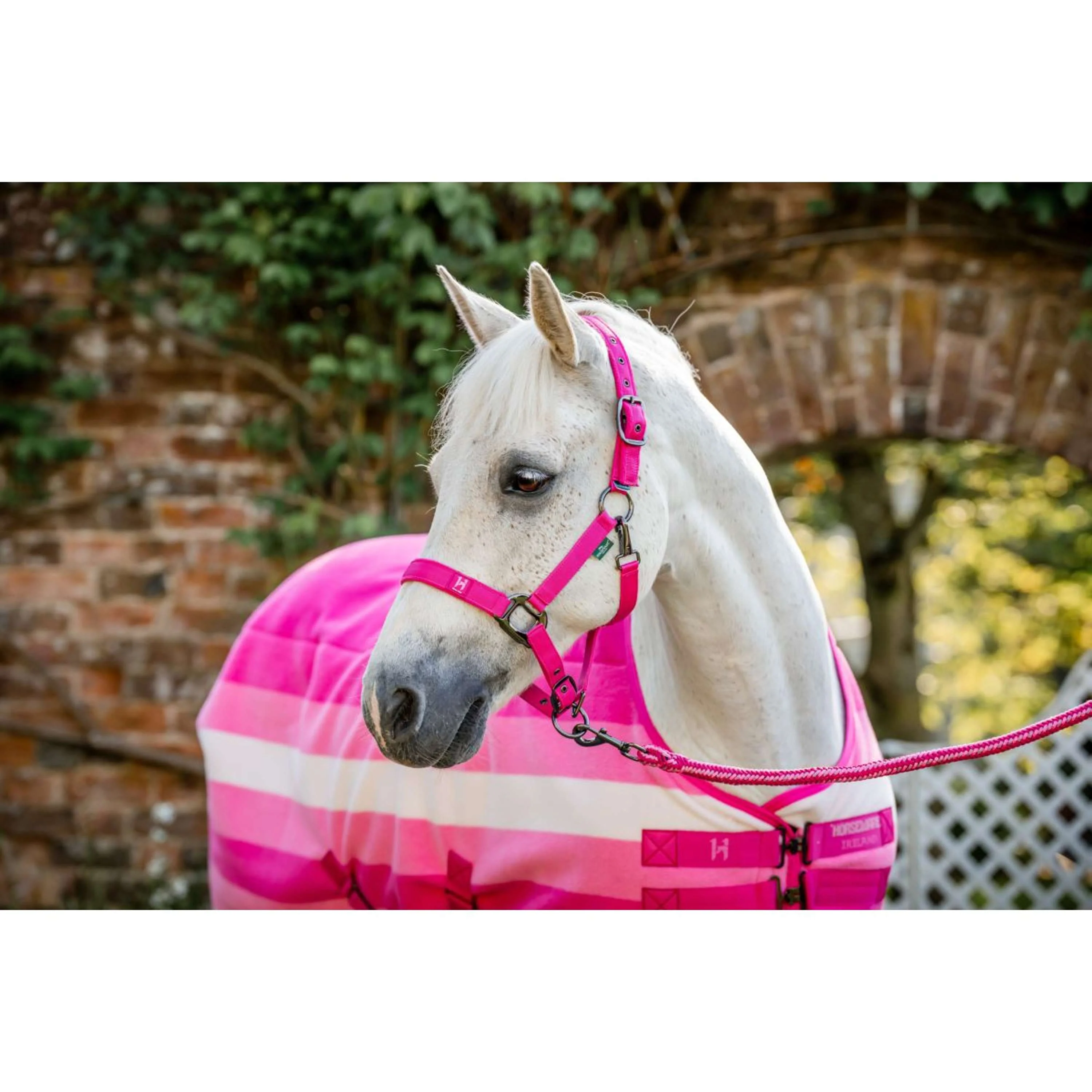 Horseware Fleece Cooler Newmarket Witney Pink - Image 2