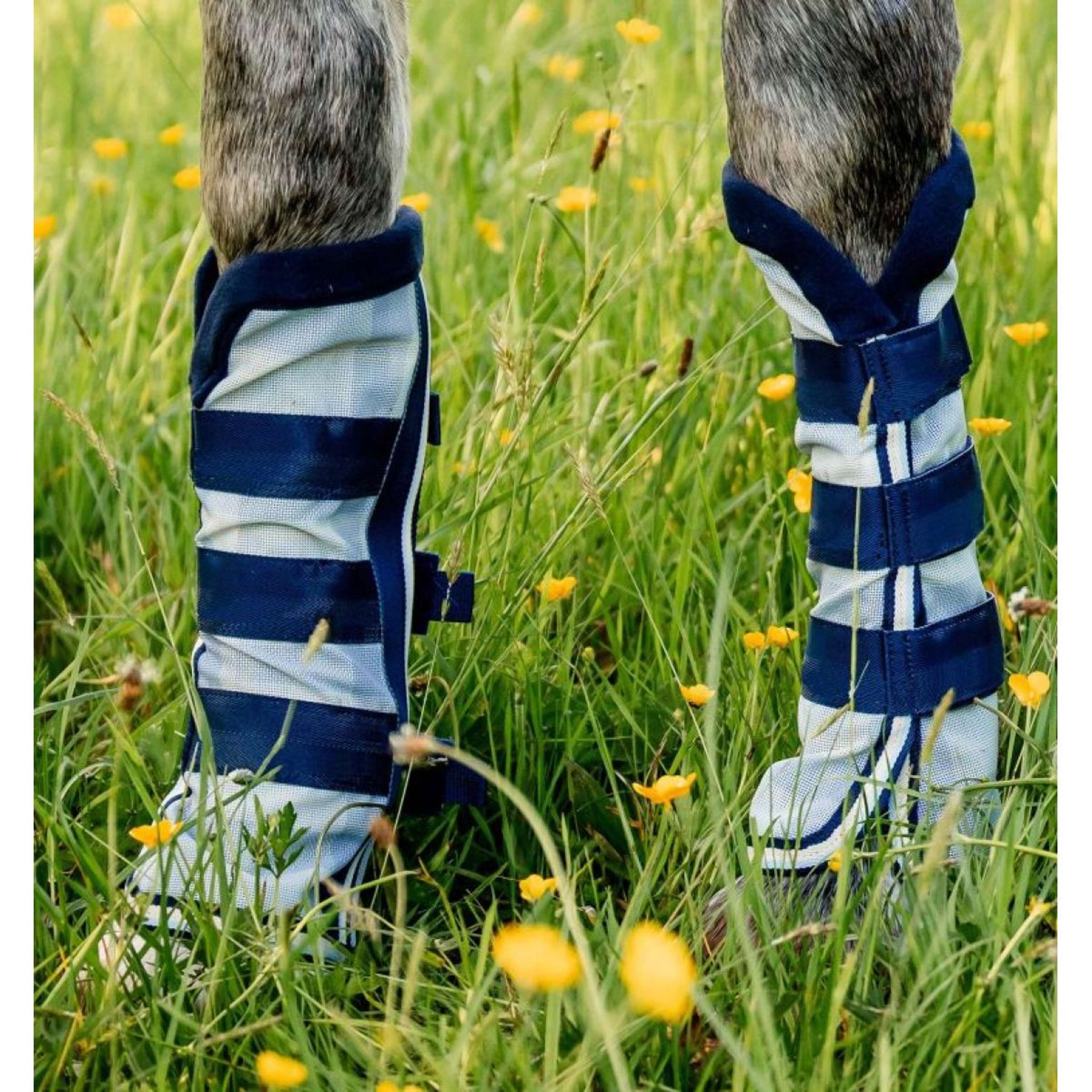 Horseware Fly Boots Newmarket Witney Navy - Image 2