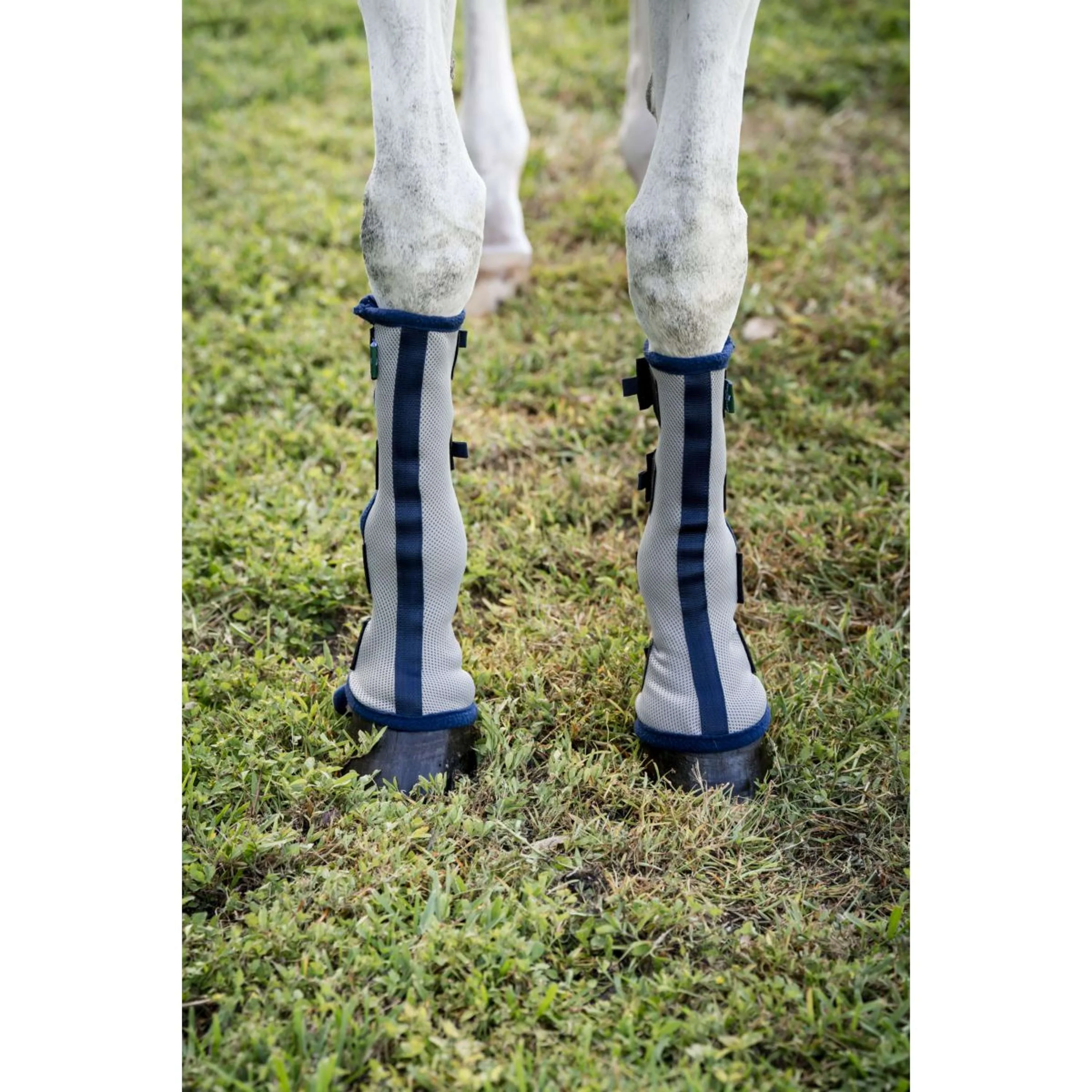 Horseware Fly Boots Set of 2 Argent/Bleu Marine - Image 2
