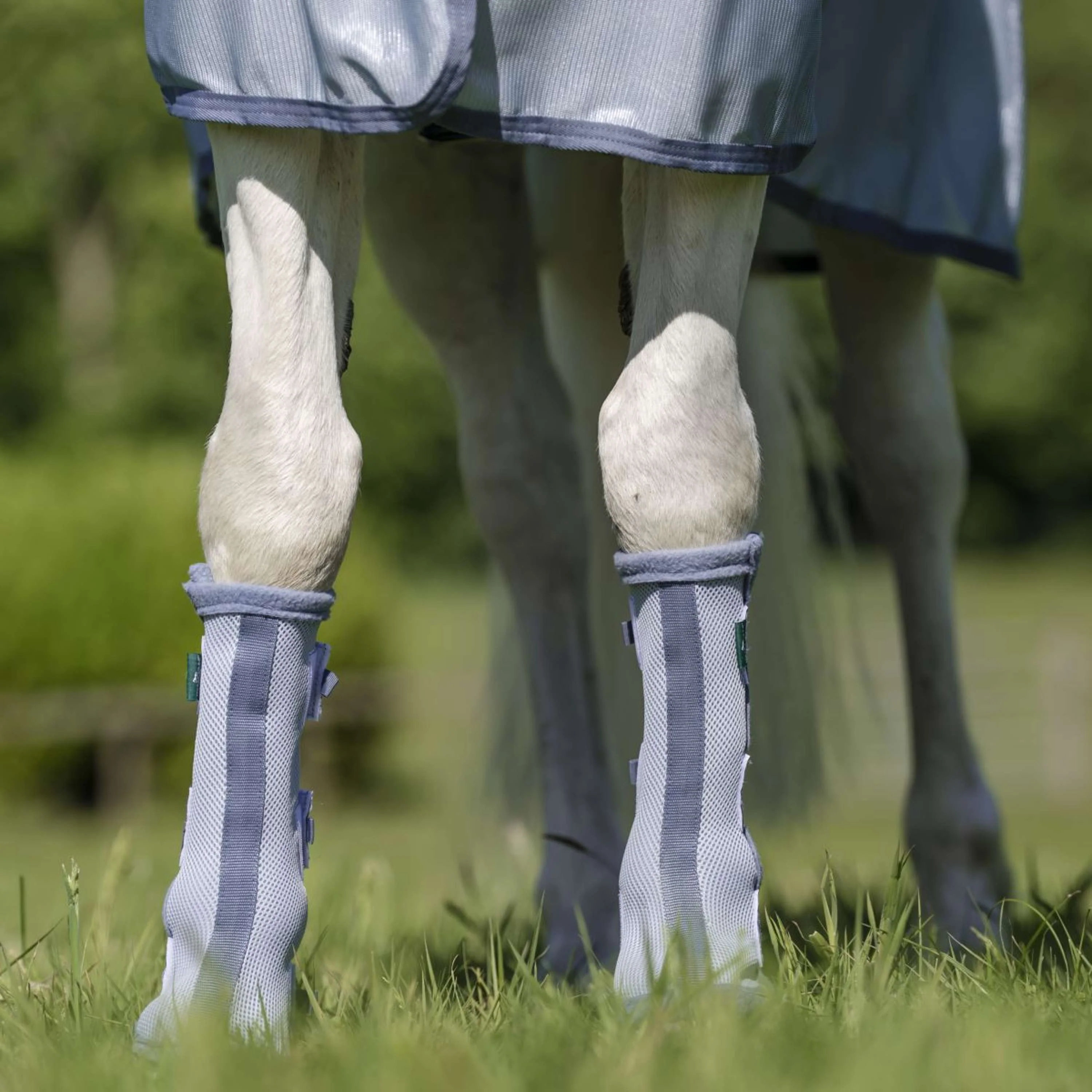 Horseware Fly Boots Set of 2 Heather Blue/Blue/Silver - Image 2