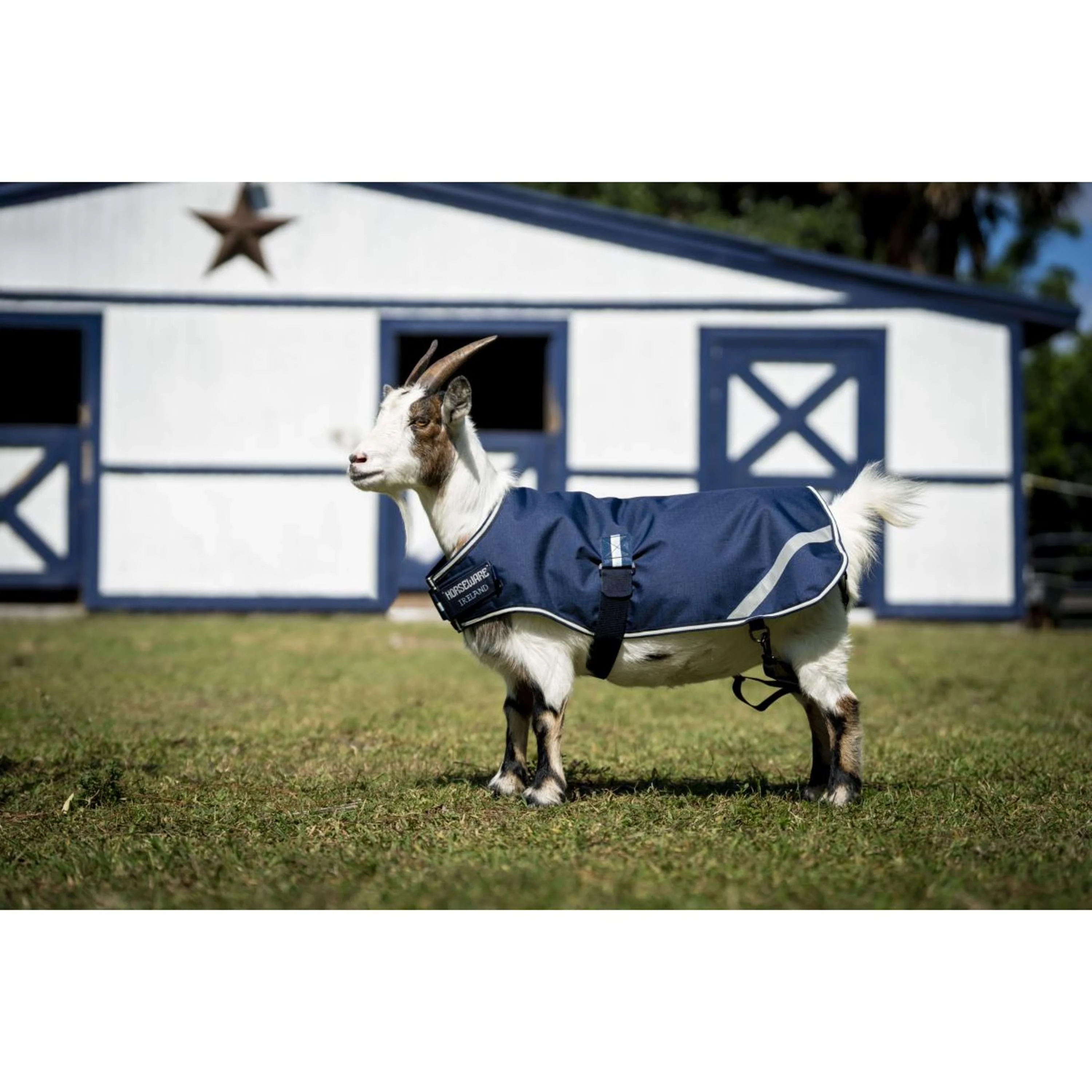 Horseware Goat Coat 0g Witney Navy - Image 4