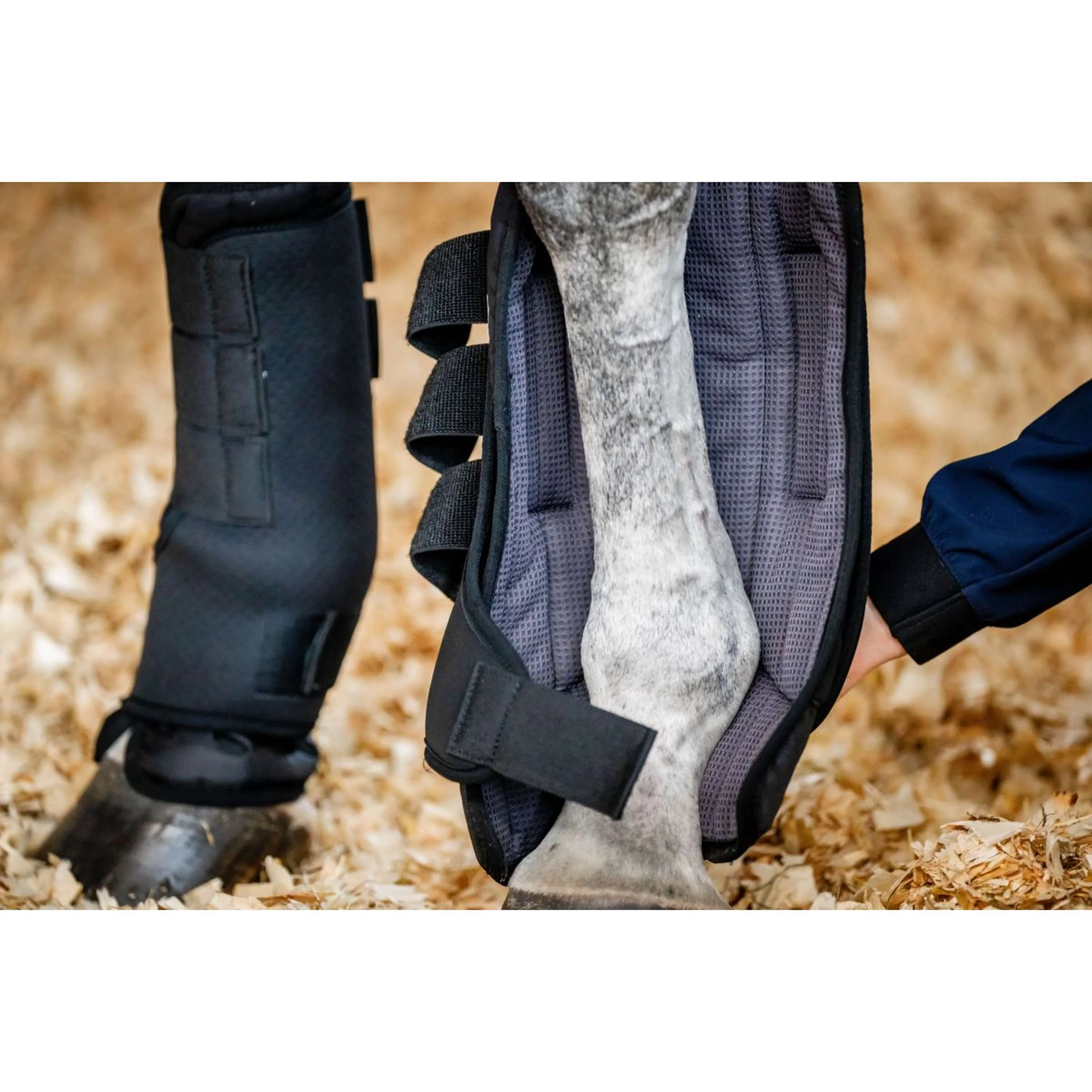 Horseware Guêtres d'écurie Pro Bamboo Noir - Image 5