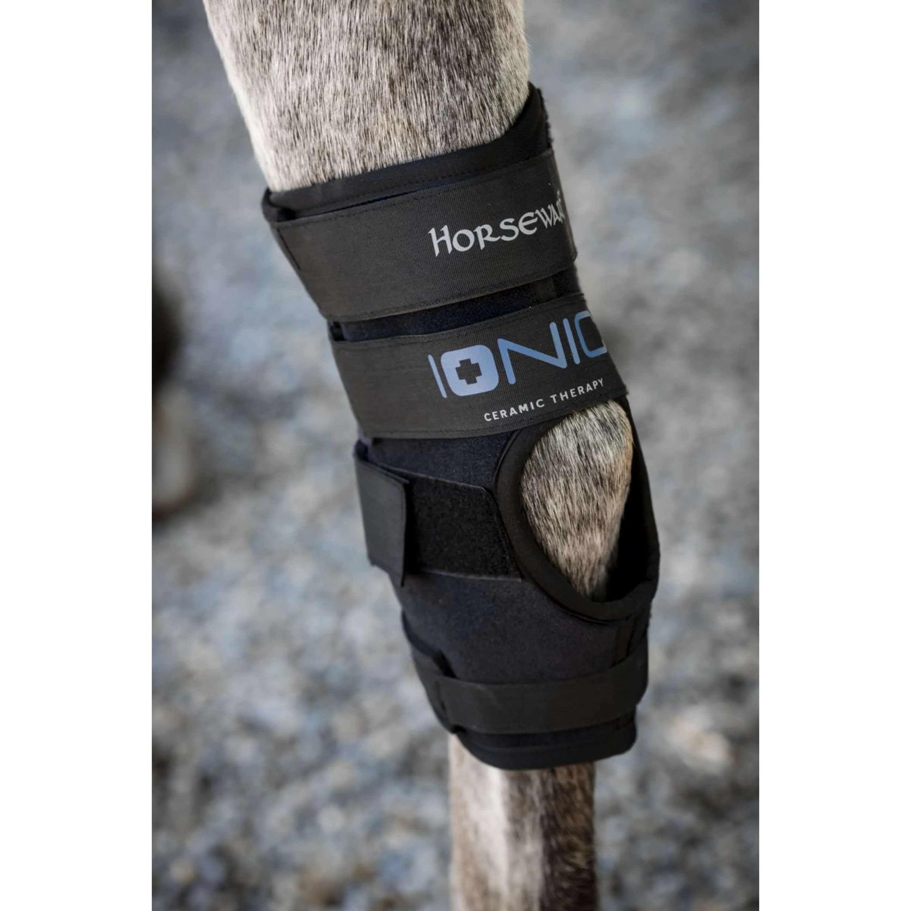 Horseware Hock Boots Ionic Set of 2 Noir - Image 5