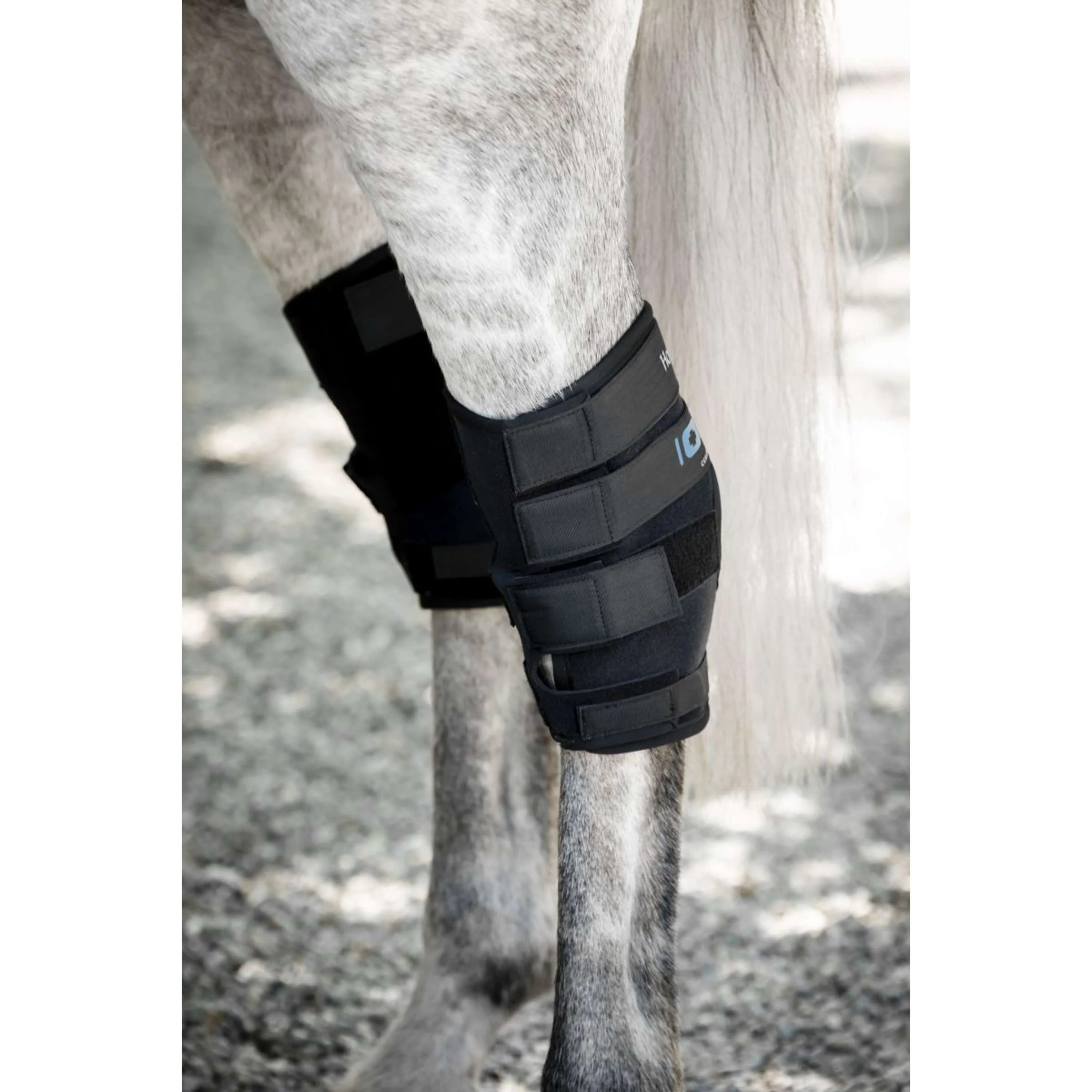 Horseware Hock Boots Ionic Set of 2 Noir - Image 7