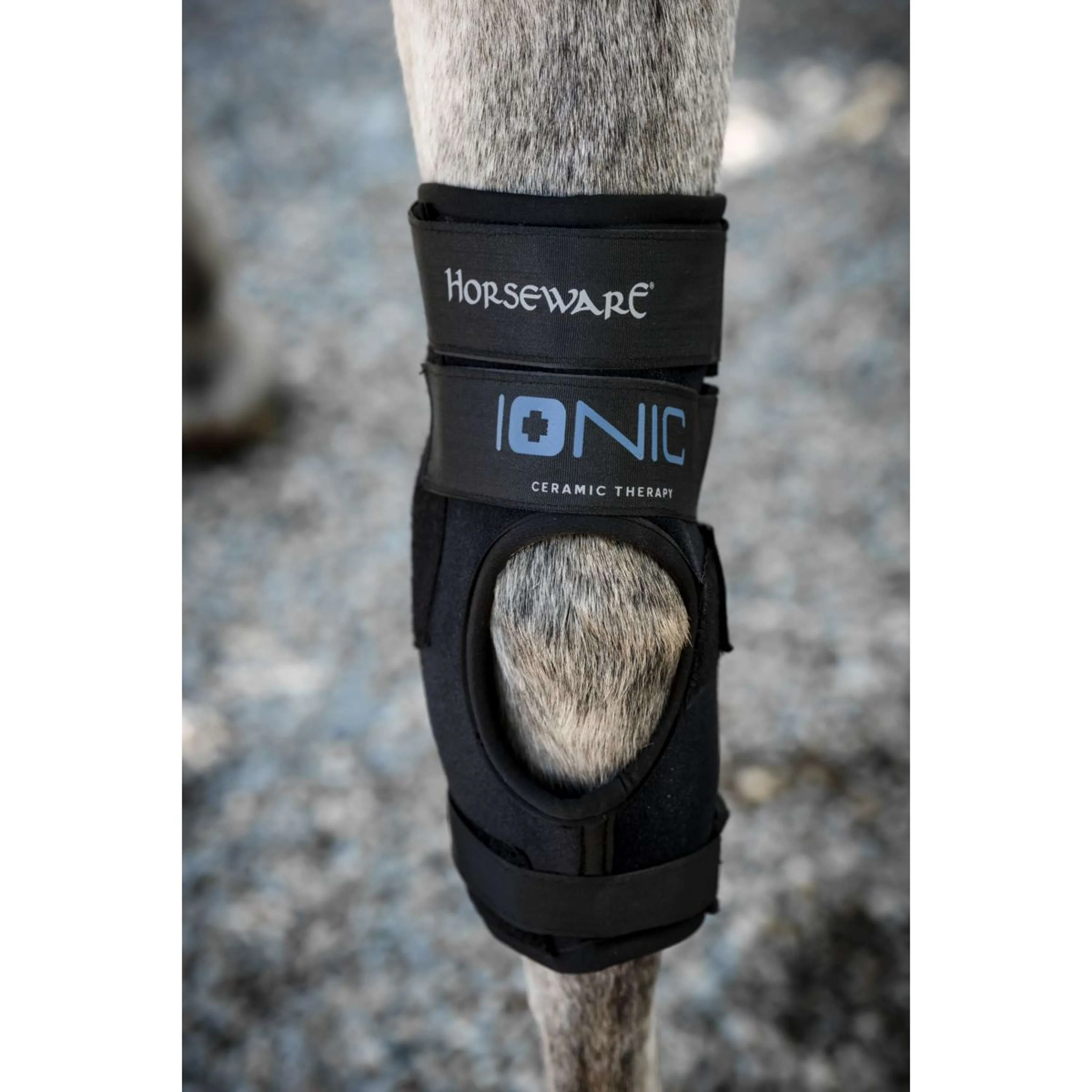 Horseware Hock Boots Ionic Set of 2 Noir - Image 8