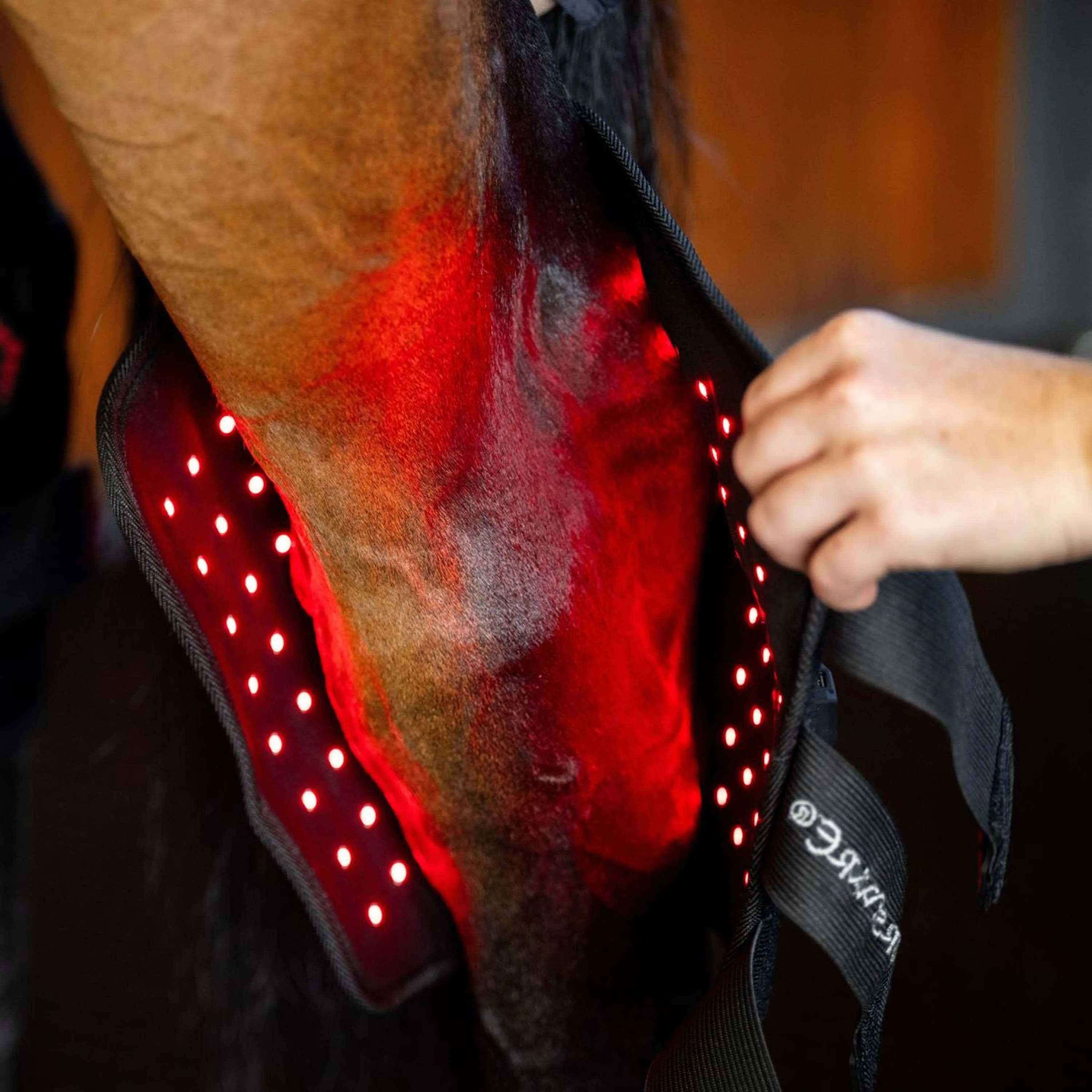 Horseware Hock Boots LED Red Light Therapy Pair Noir/Noir - Image 2