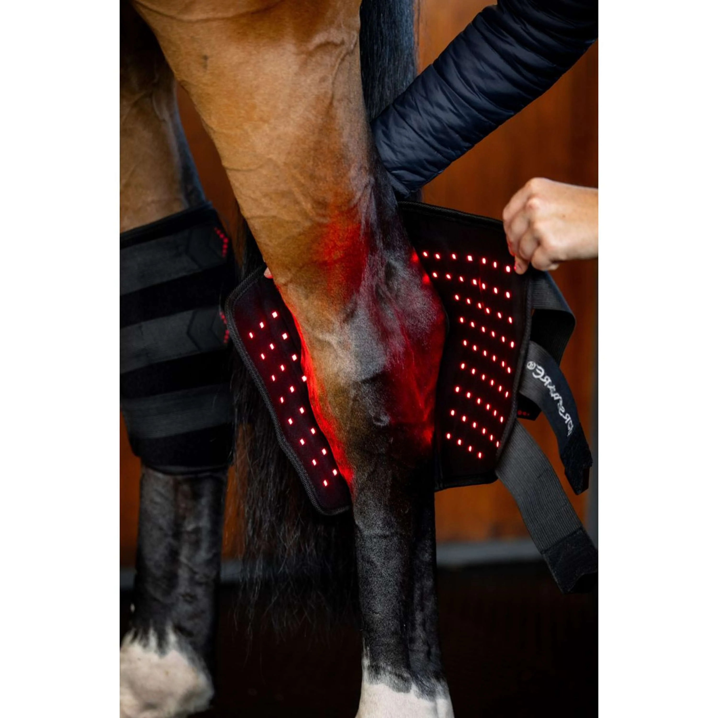 Horseware Hock Boots LED Red Light Therapy Pair Noir/Noir - Image 3