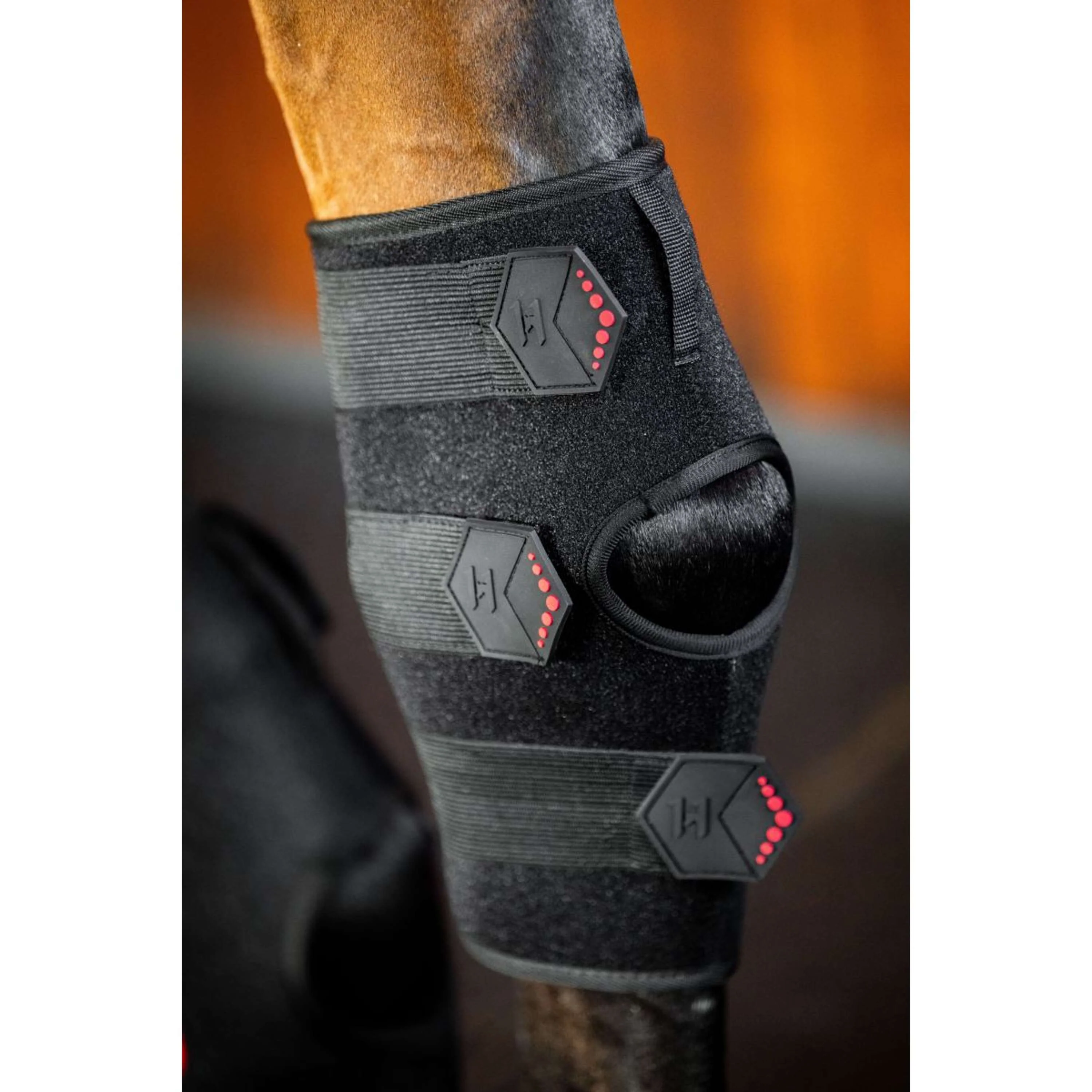Horseware Hock Boots LED Red Light Therapy Pair Noir/Noir - Image 4