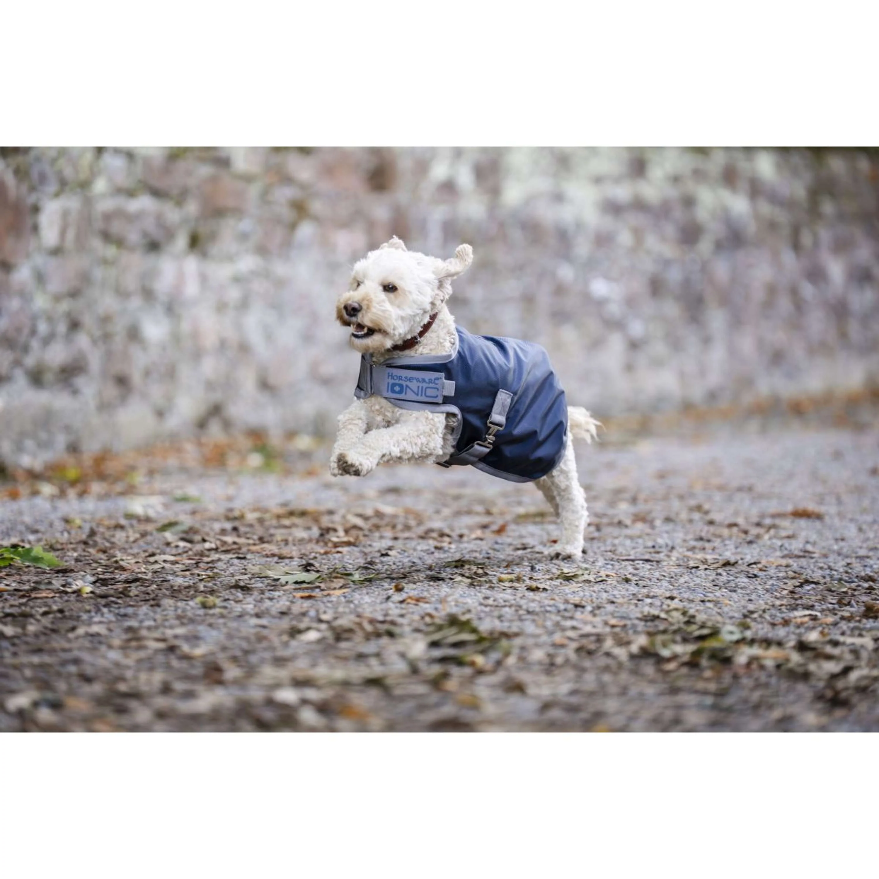 Horseware Ionic Therapy Dog Coat 50g Imperial Blue/Silver/Navy - Image 8
