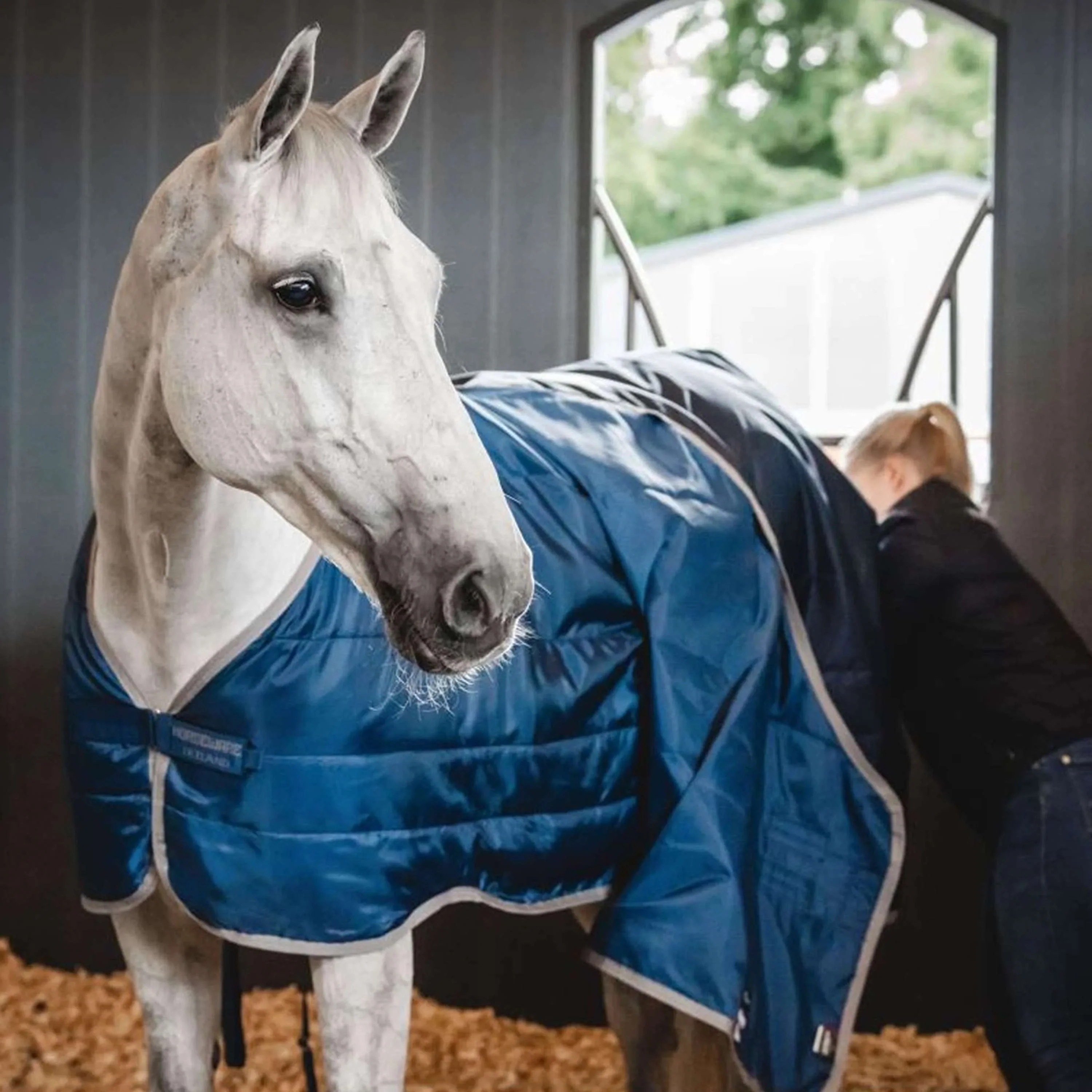 Horseware Ionic Therapy Liner 200g Imperial Blue/Silver/Navy - Image 3