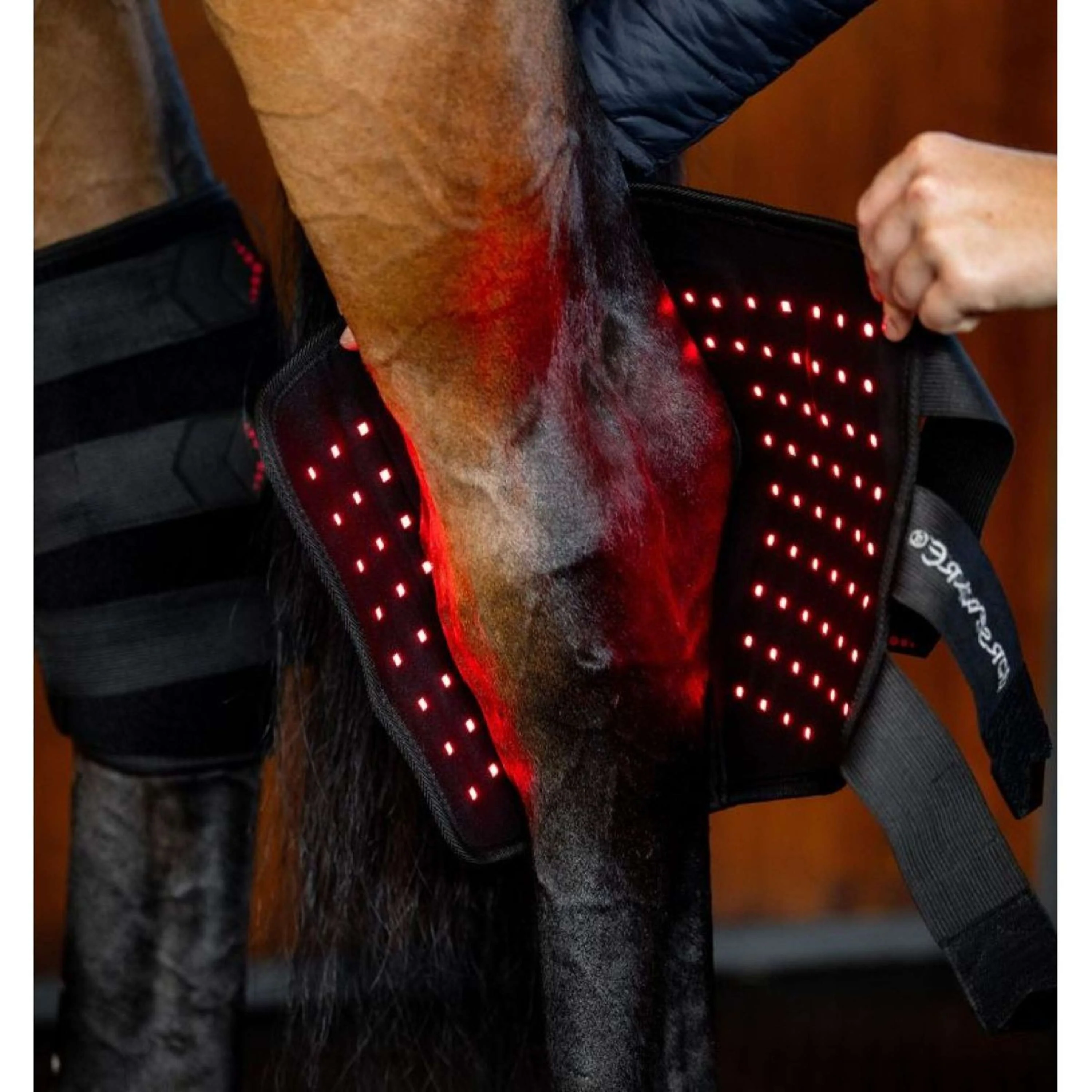 Horseware LED Red Light Therapy Left Hock Boot Noir - Image 5