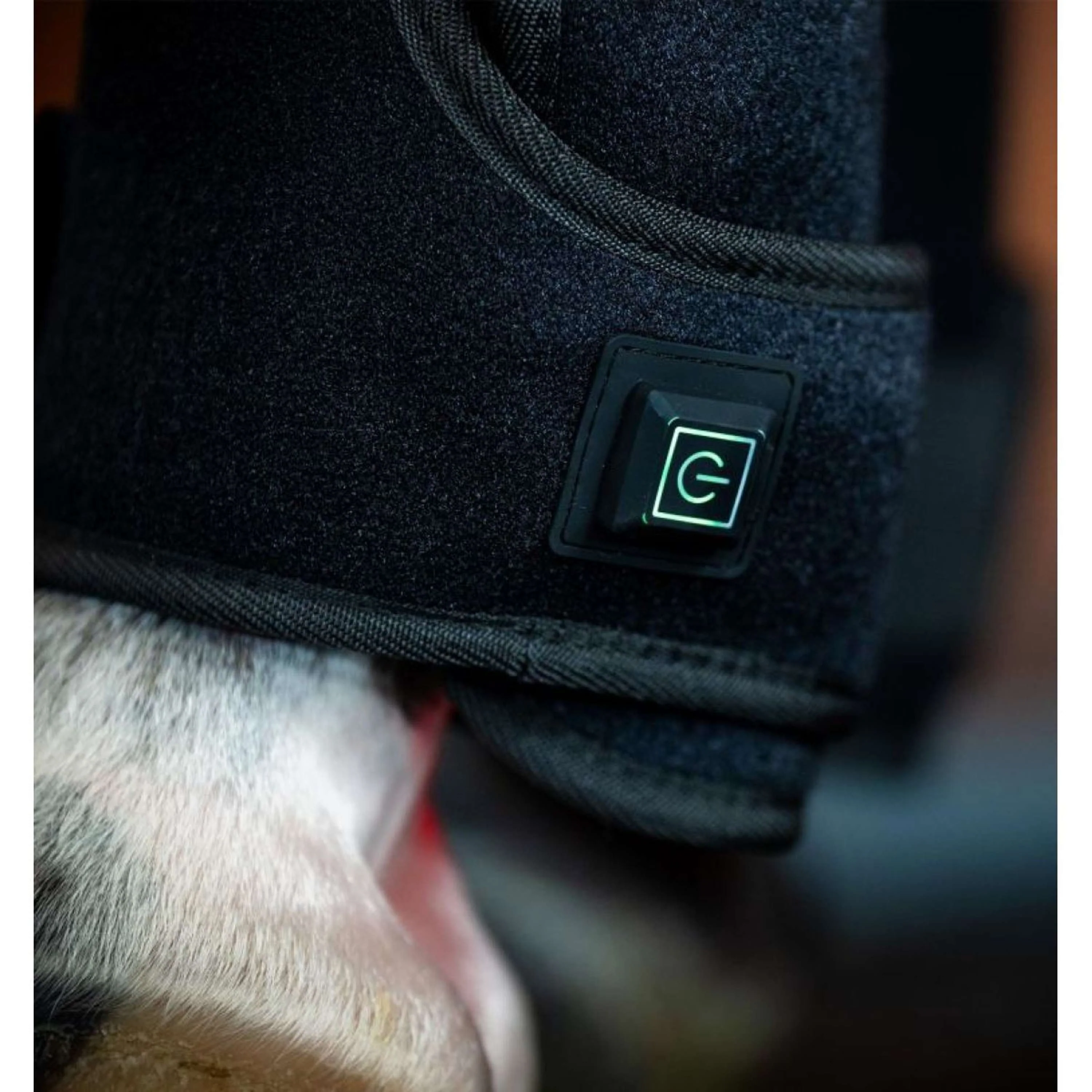 Horseware LED Red Light Therapy Left Leg Wrap Noir - Image 2