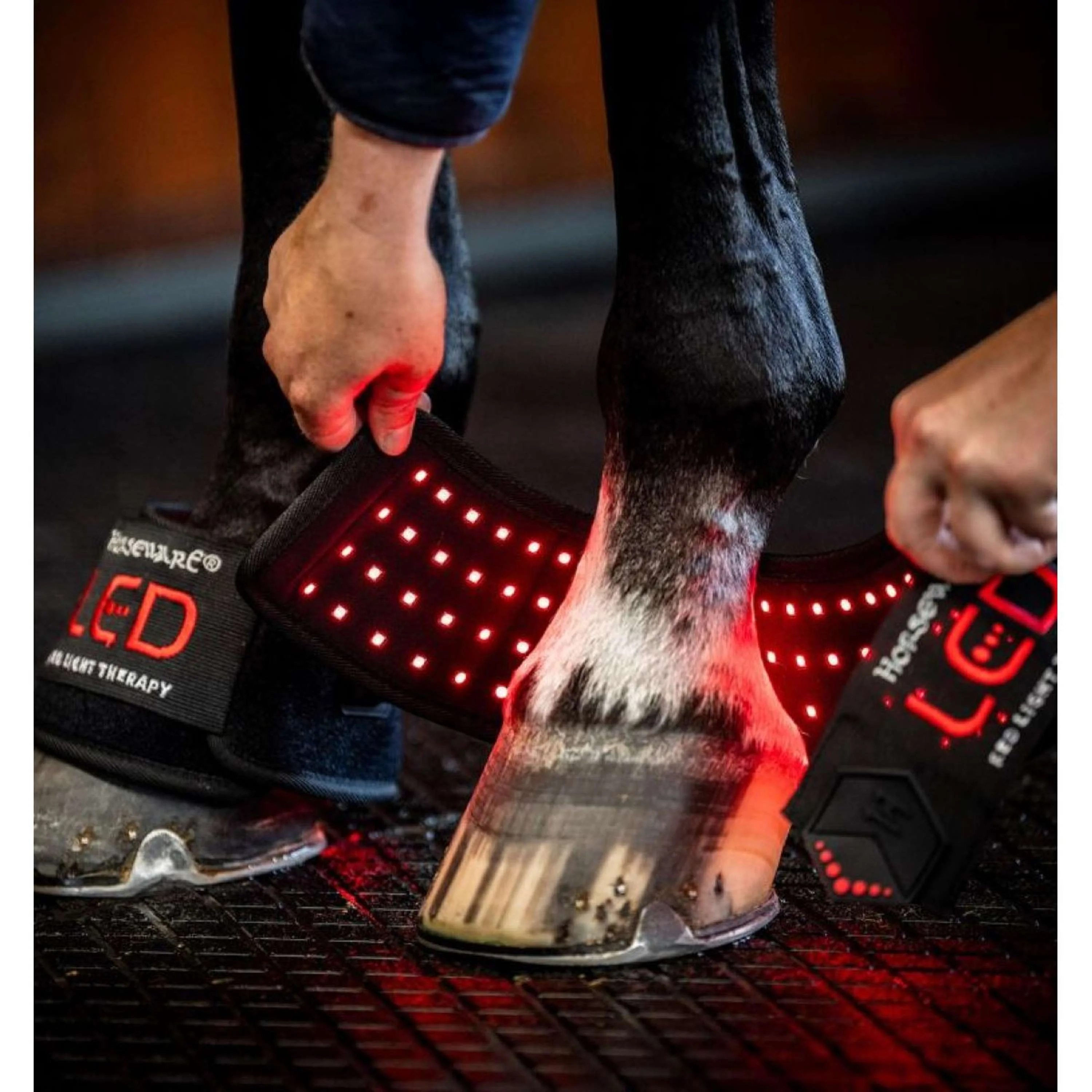 Horseware LED Red Light Therapy Mini Wrap Noir - Image 2