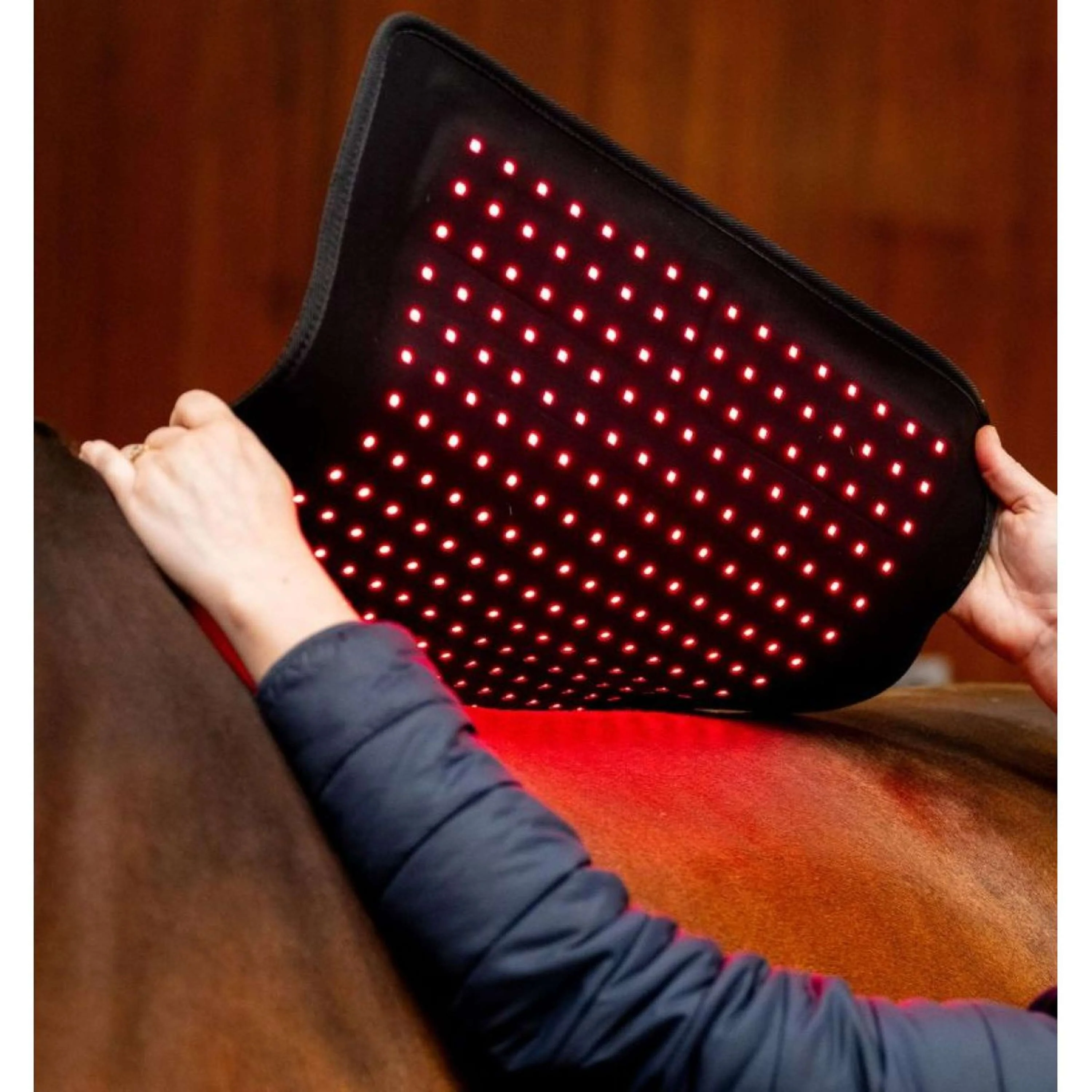 Horseware LED Red Light Therapy Pad Noir - Image 2