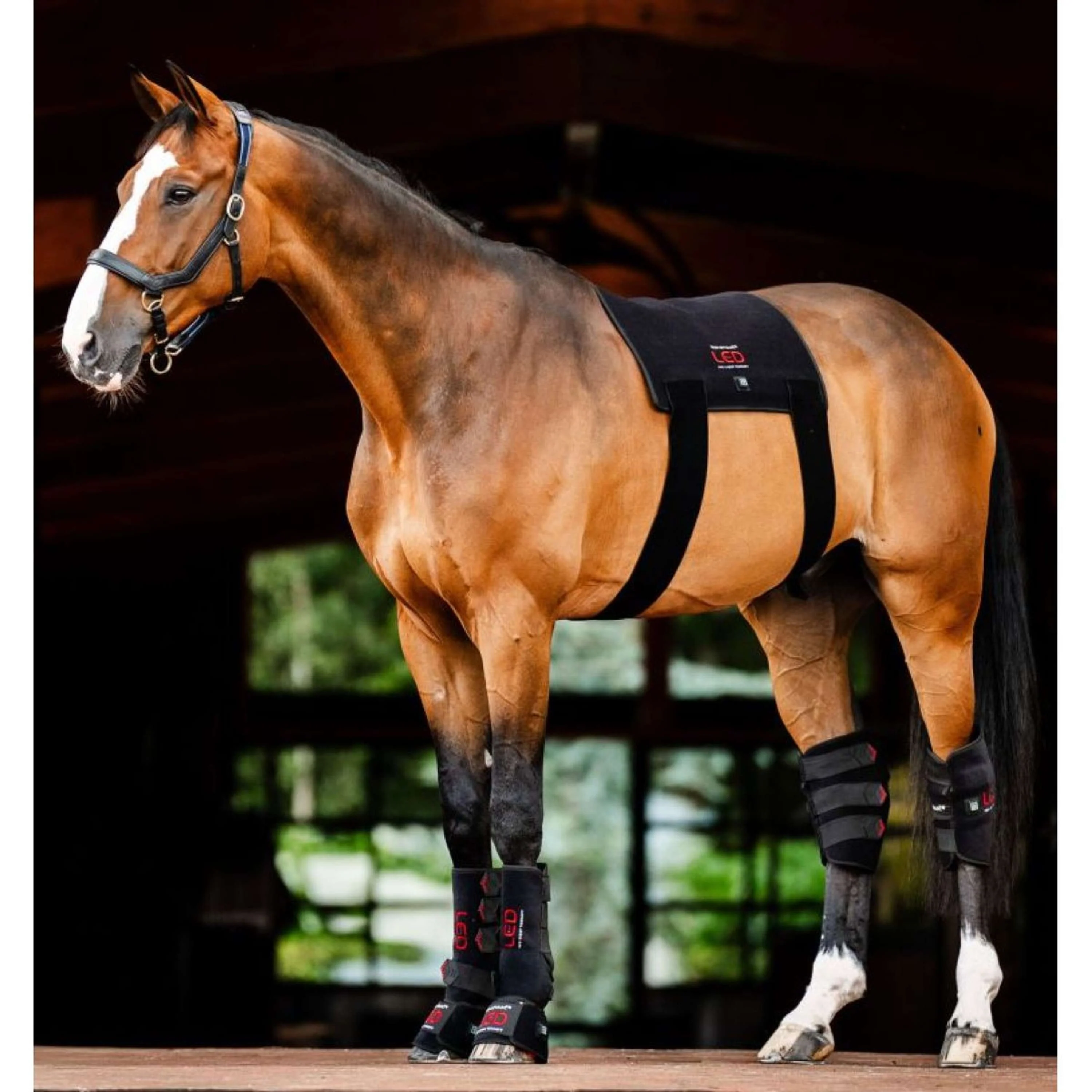 Horseware LED Red Light Therapy Pad Noir - Image 3