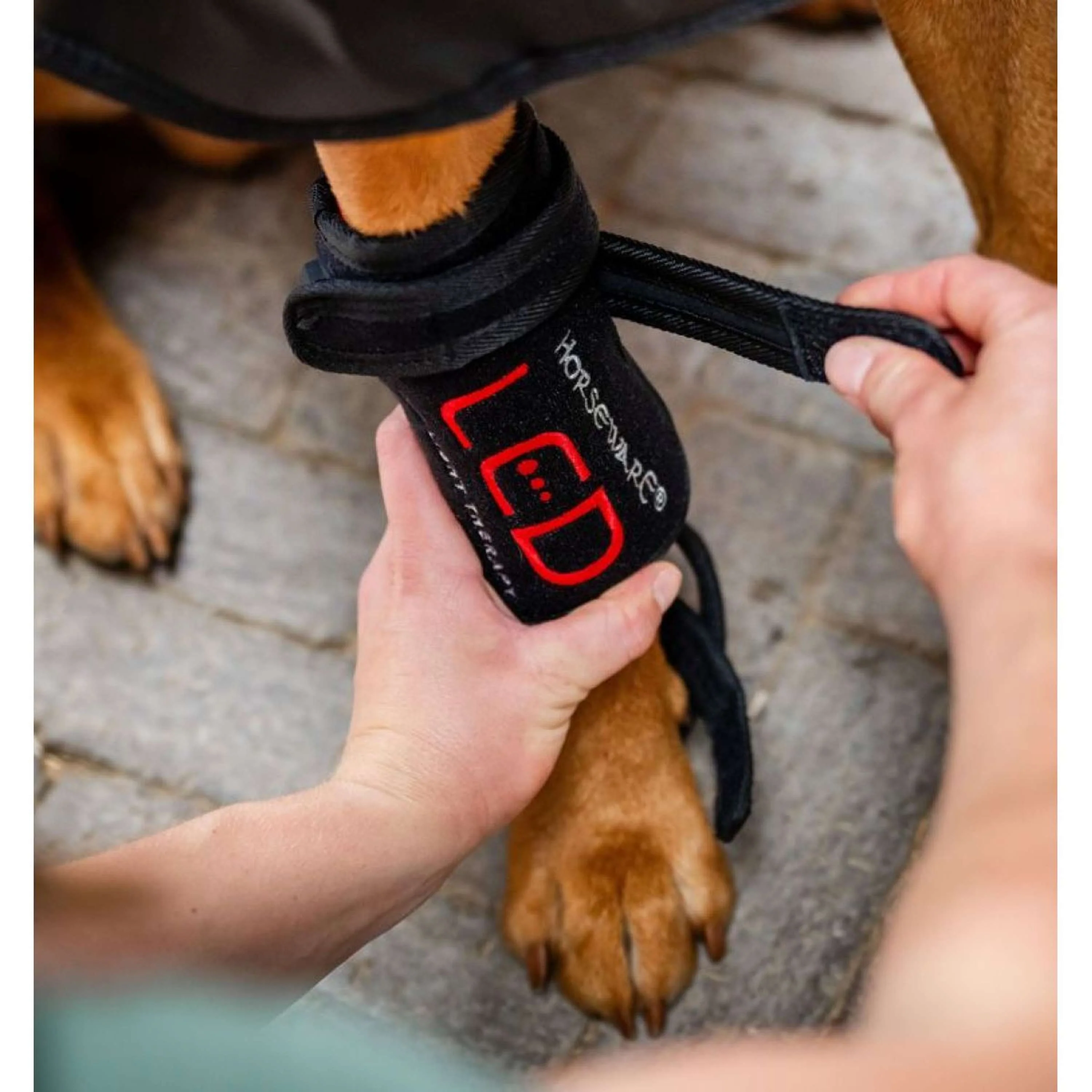 Horseware LED Red Light Therapy Pet Leg Wrap Noir - Image 2
