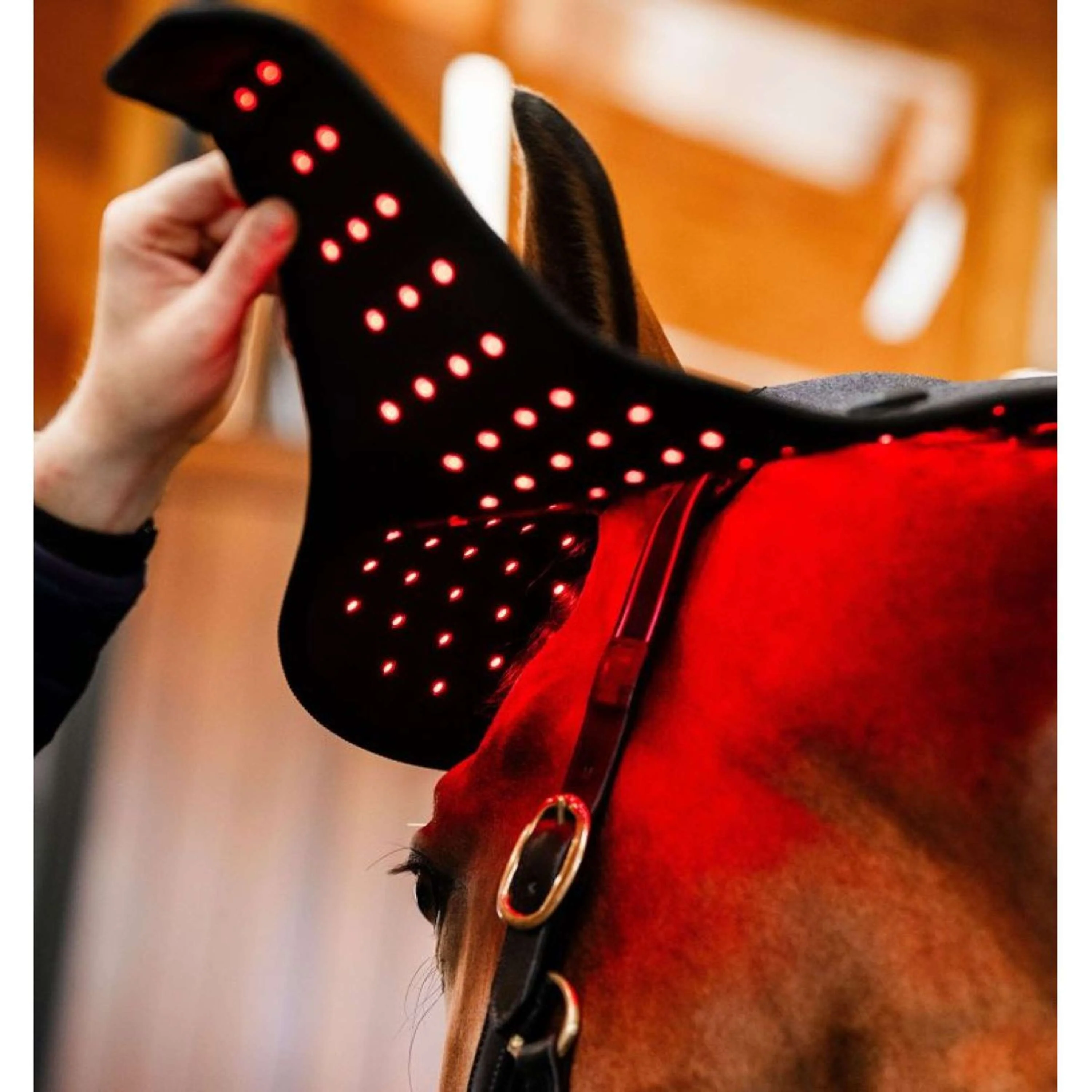 Horseware LED Red Light Therapy Poll Cap Noir - Image 3