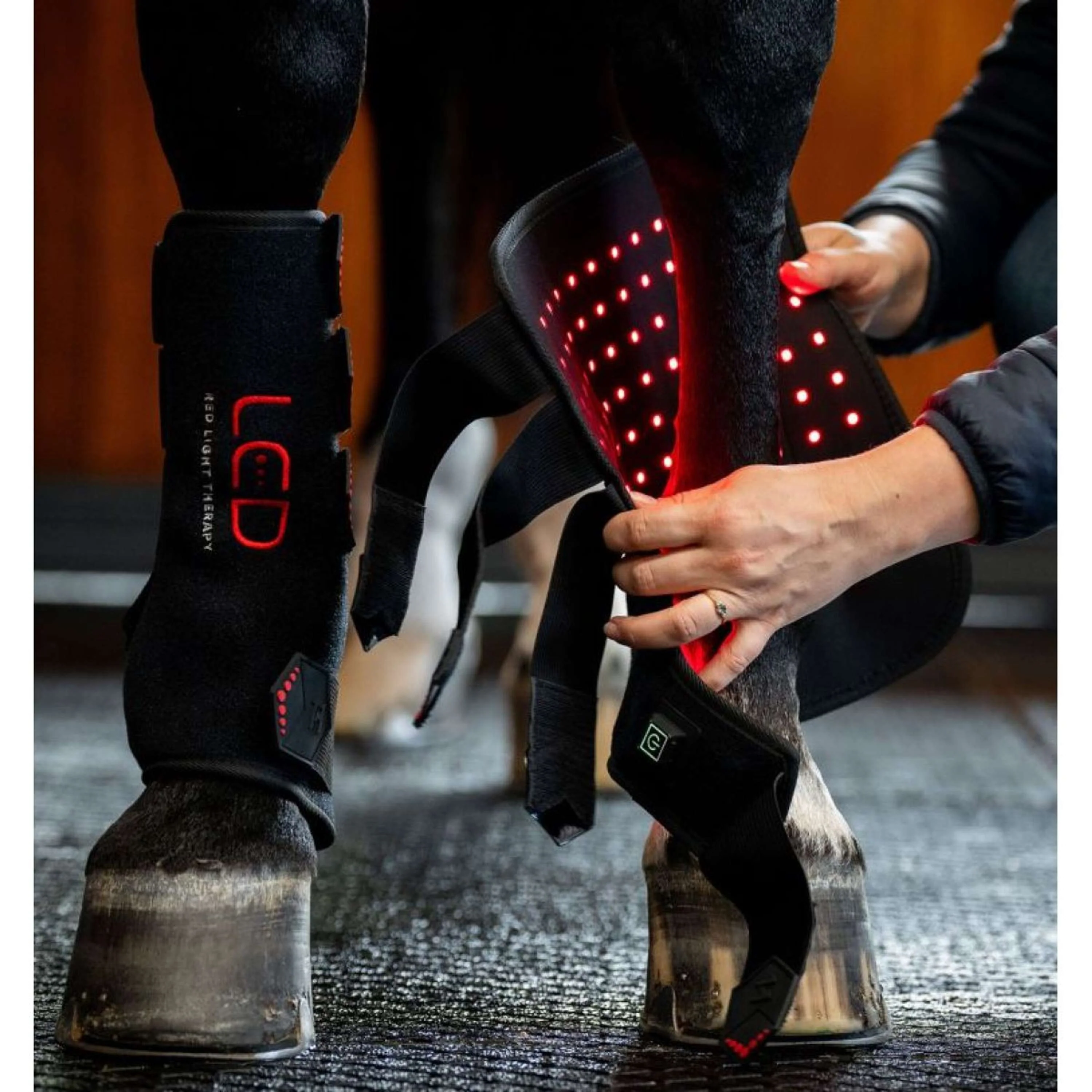 Horseware LED Red Light Therapy Right Leg Wrap Noir - Image 4
