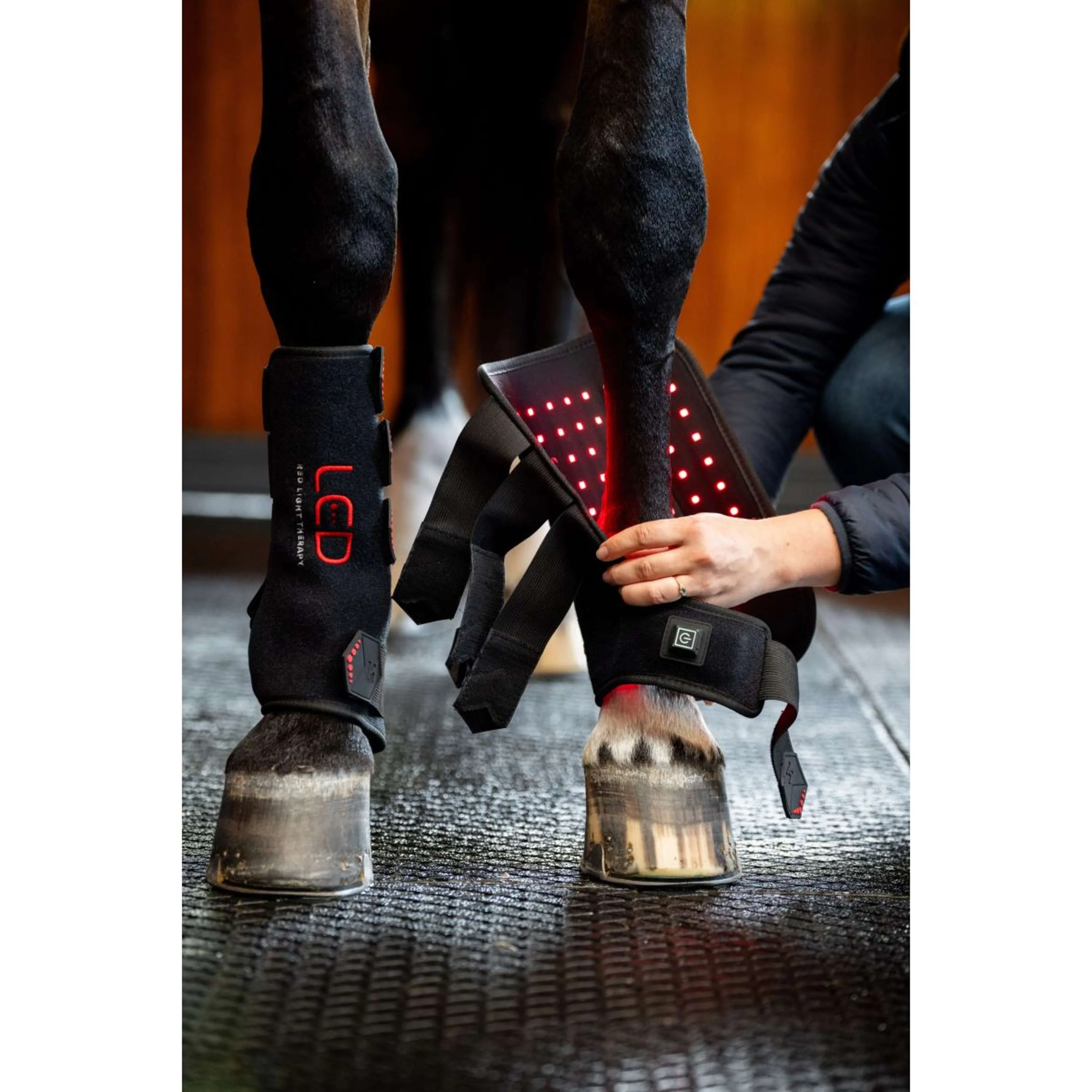Horseware Leg Wraps LED Red Light Therapy Pair Noir/Noir - Image 10