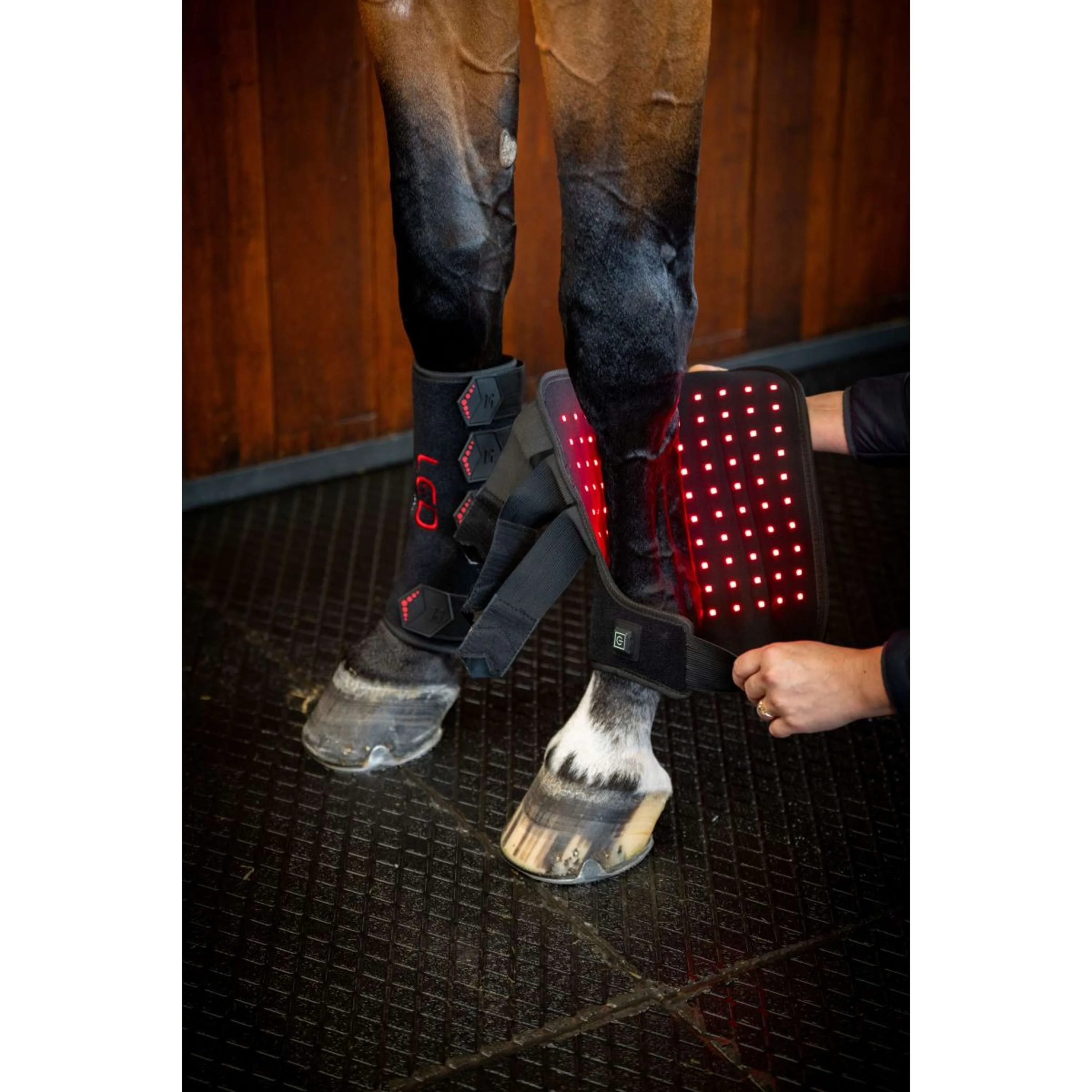 Horseware Leg Wraps LED Red Light Therapy Pair Noir/Noir - Image 11