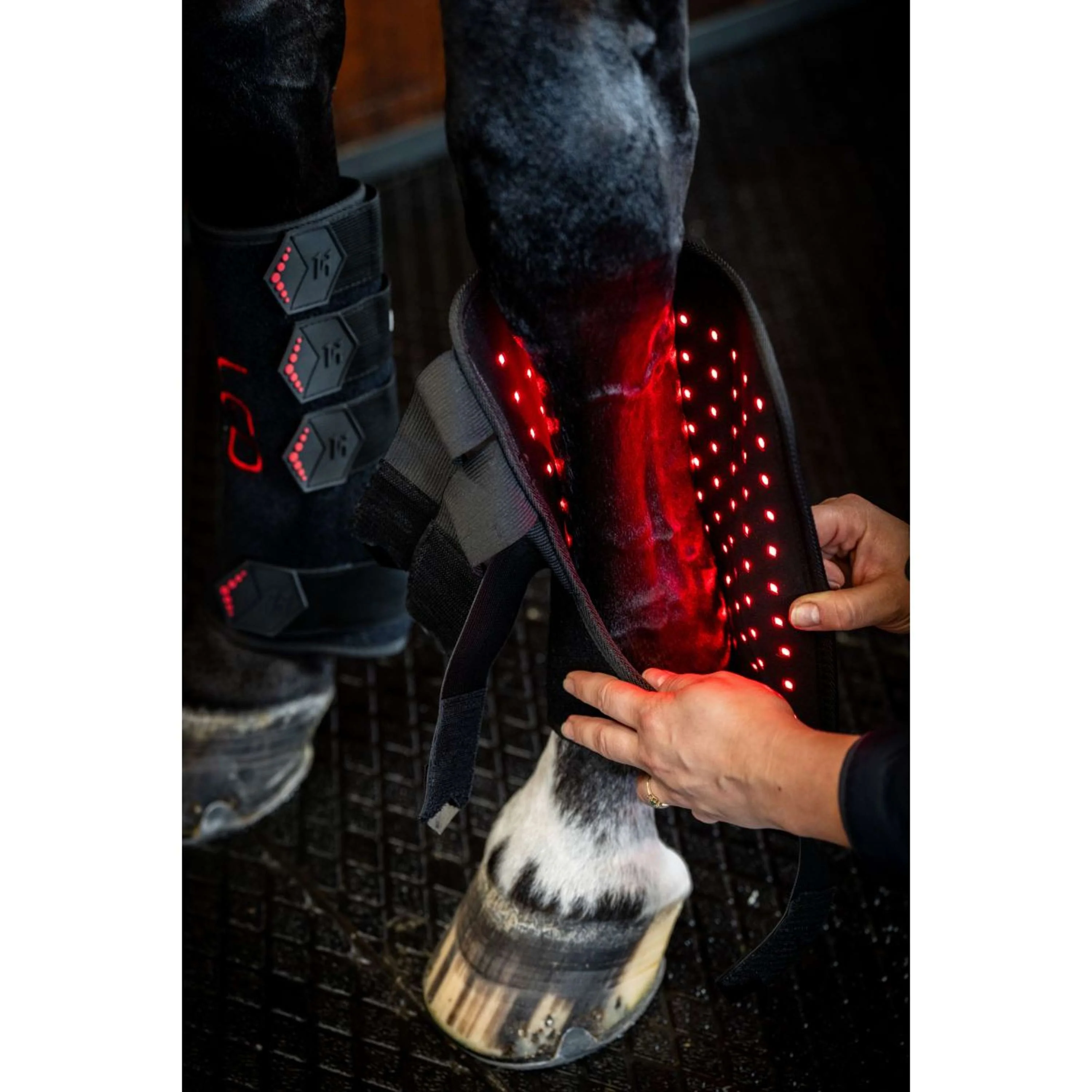 Horseware Leg Wraps LED Red Light Therapy Pair Noir/Noir - Image 12
