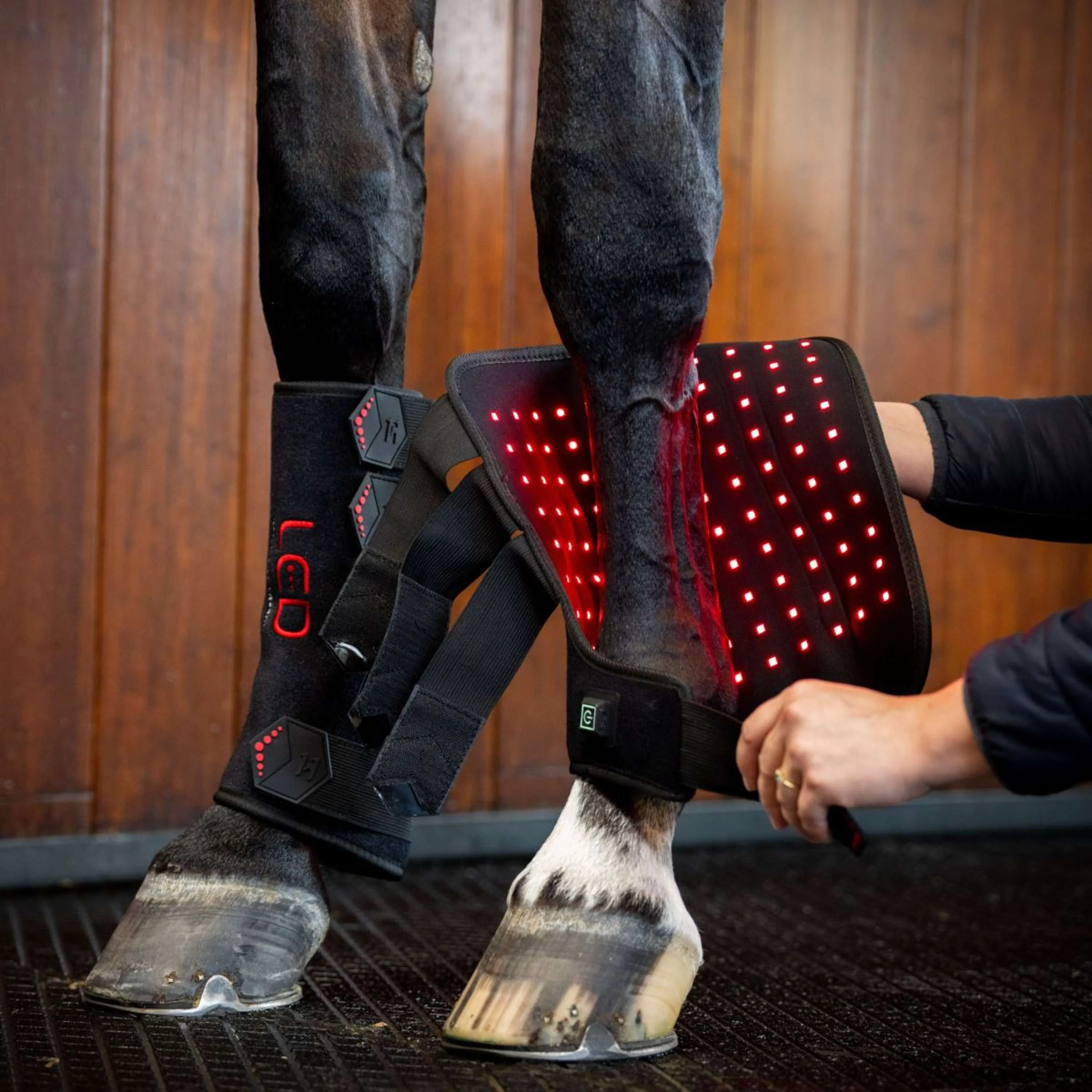 Horseware Leg Wraps LED Red Light Therapy Pair Noir/Noir - Image 2