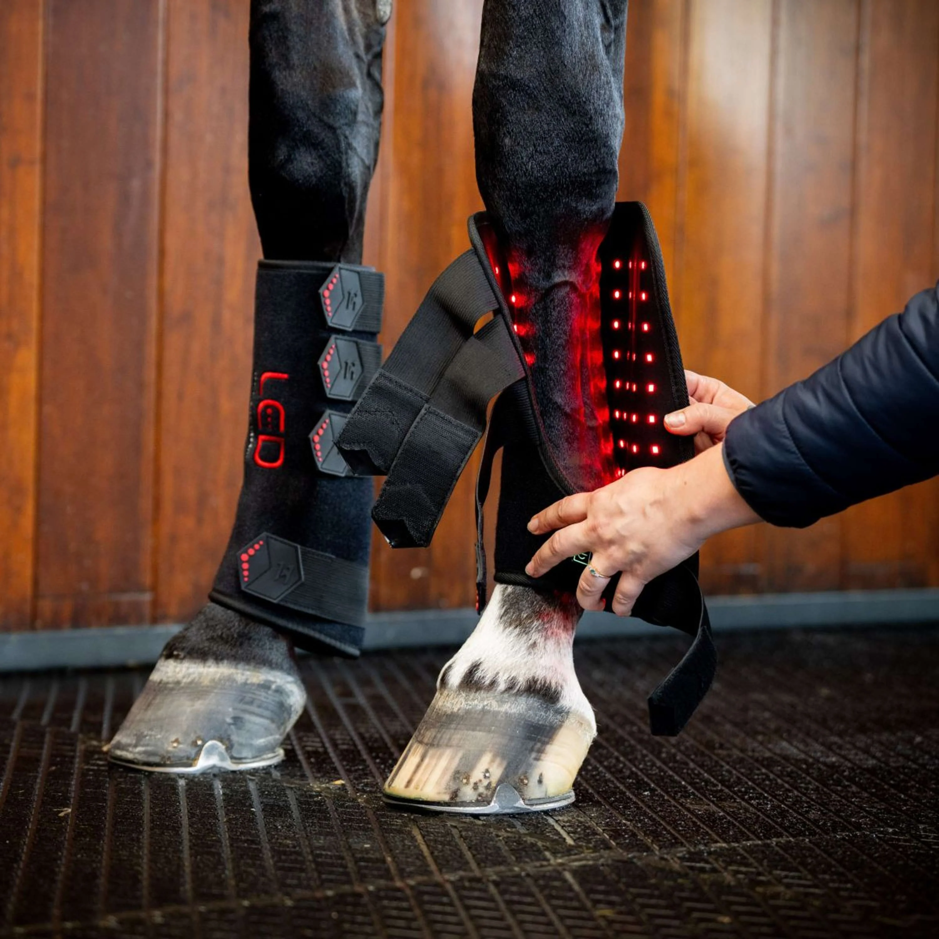 Horseware Leg Wraps LED Red Light Therapy Pair Noir/Noir - Image 3