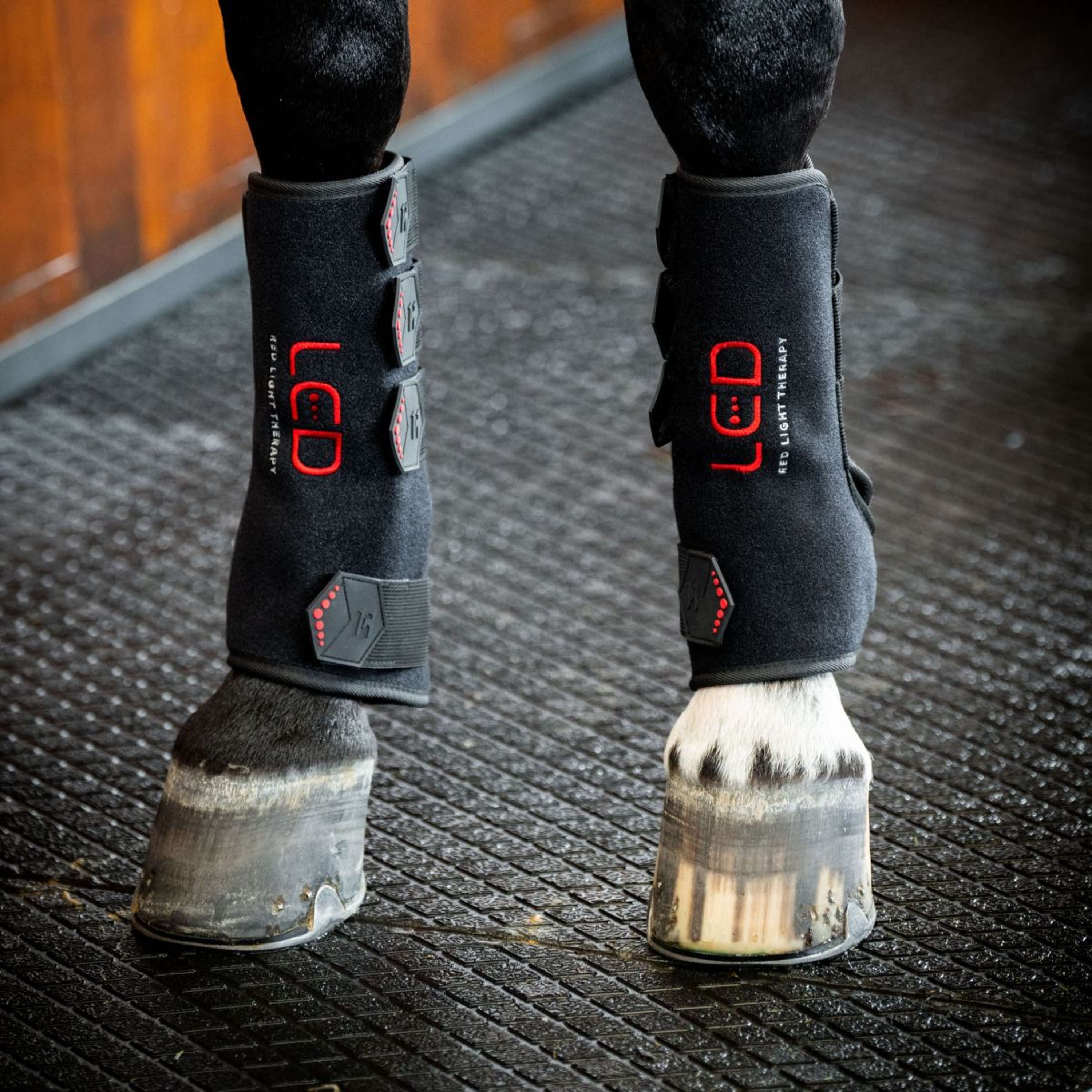 Horseware Leg Wraps LED Red Light Therapy Pair Noir/Noir - Image 4