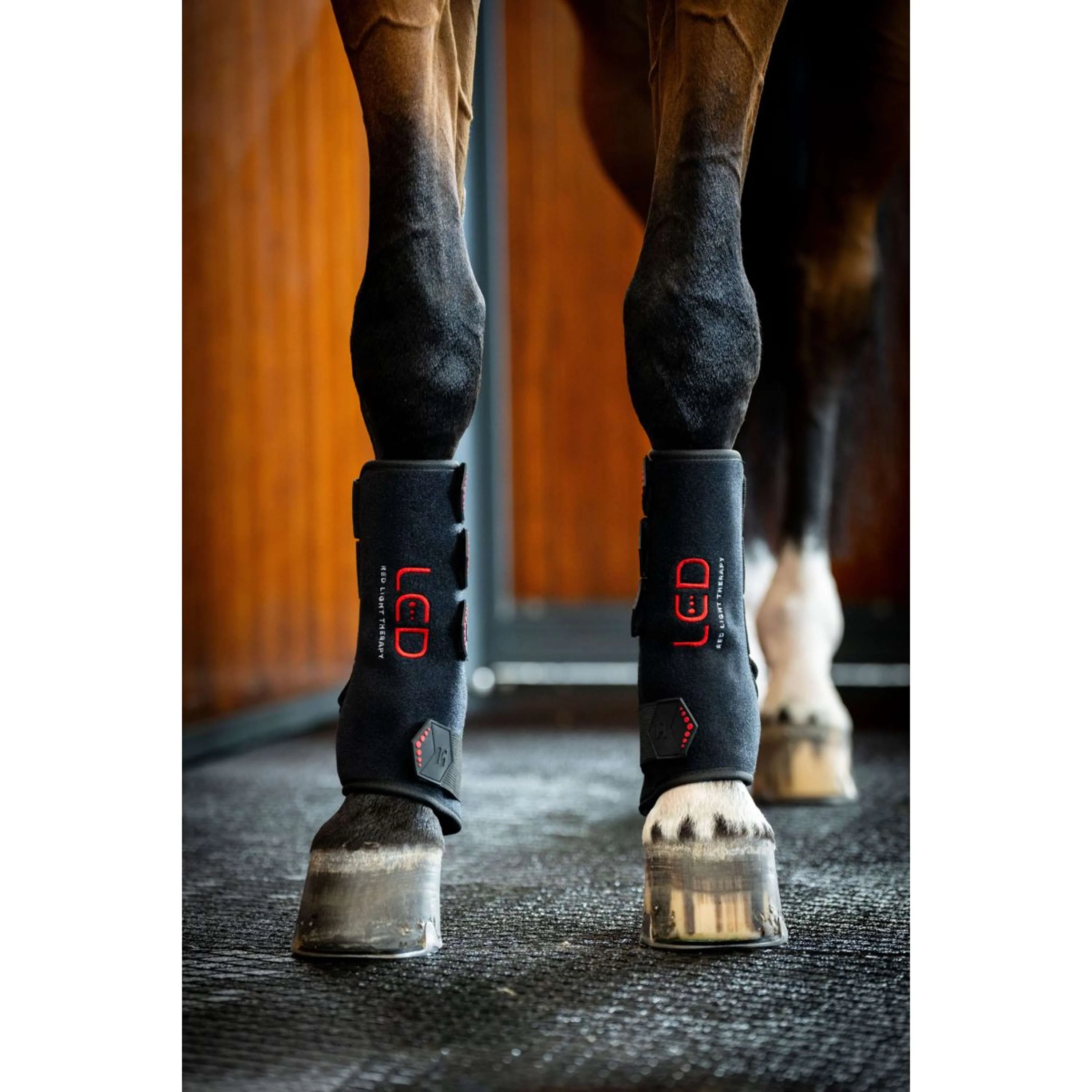 Horseware Leg Wraps LED Red Light Therapy Pair Noir/Noir - Image 7