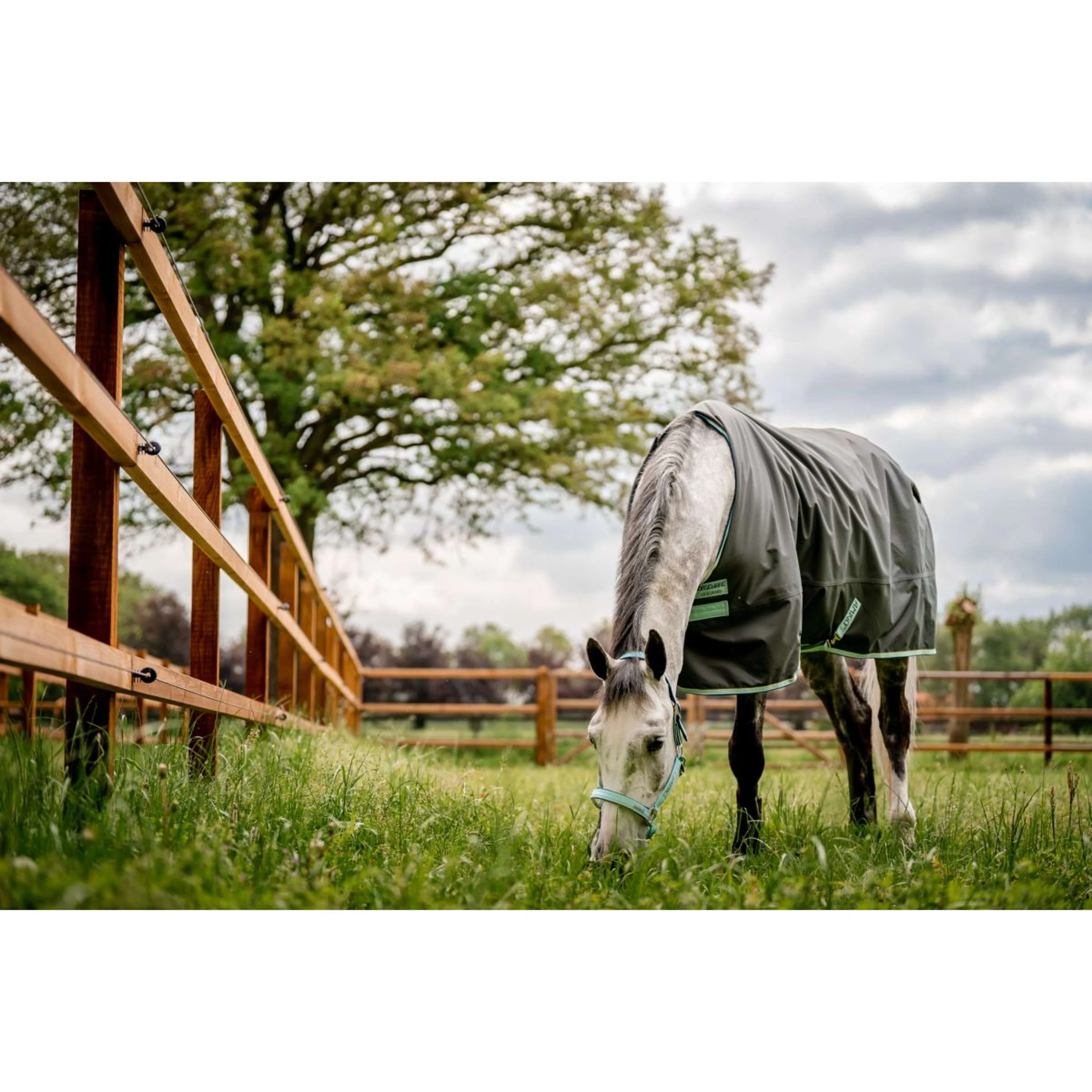 Horseware Licol Field Safe Blue Haze - Image 2
