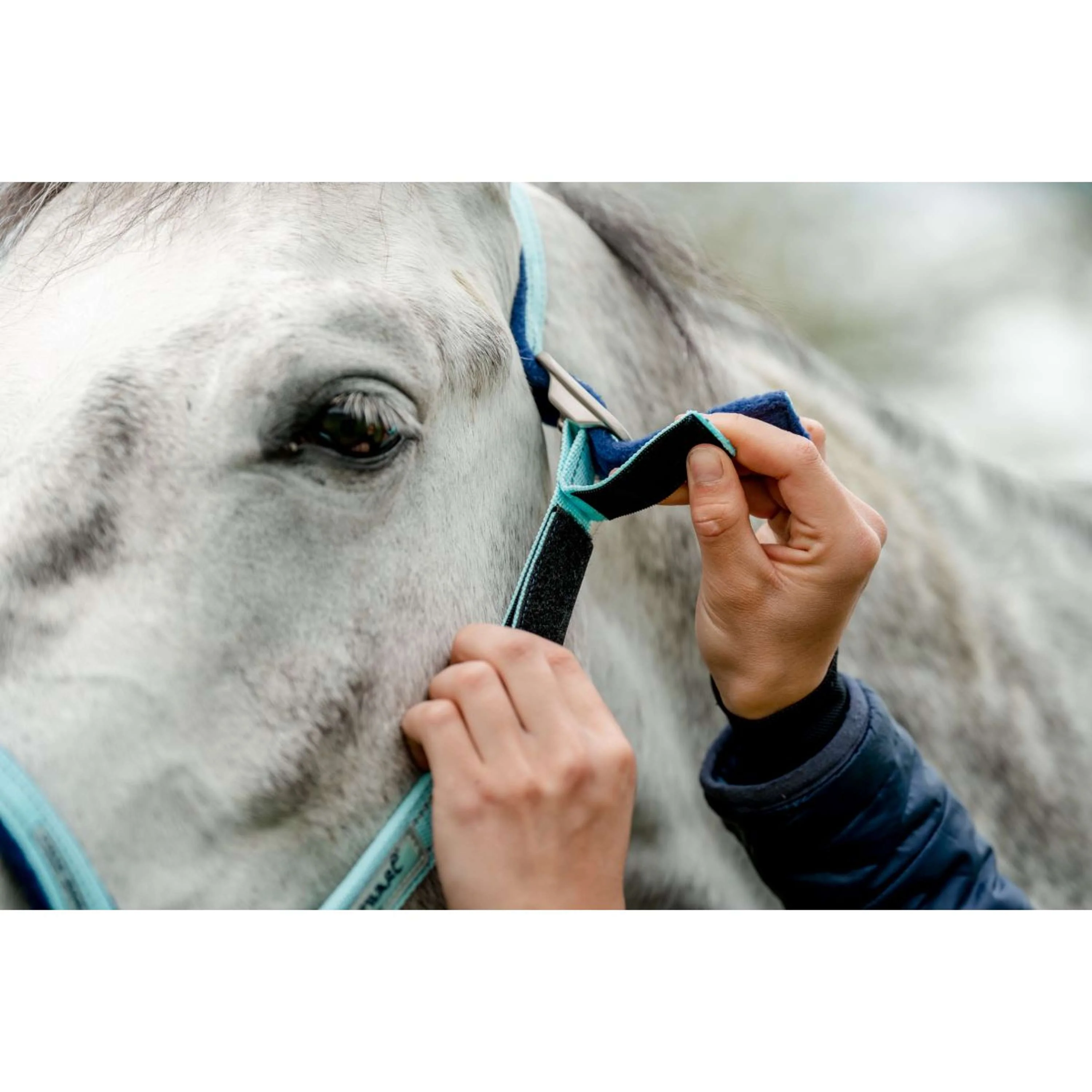 Horseware Licol Field Safe Blue Haze - Image 3