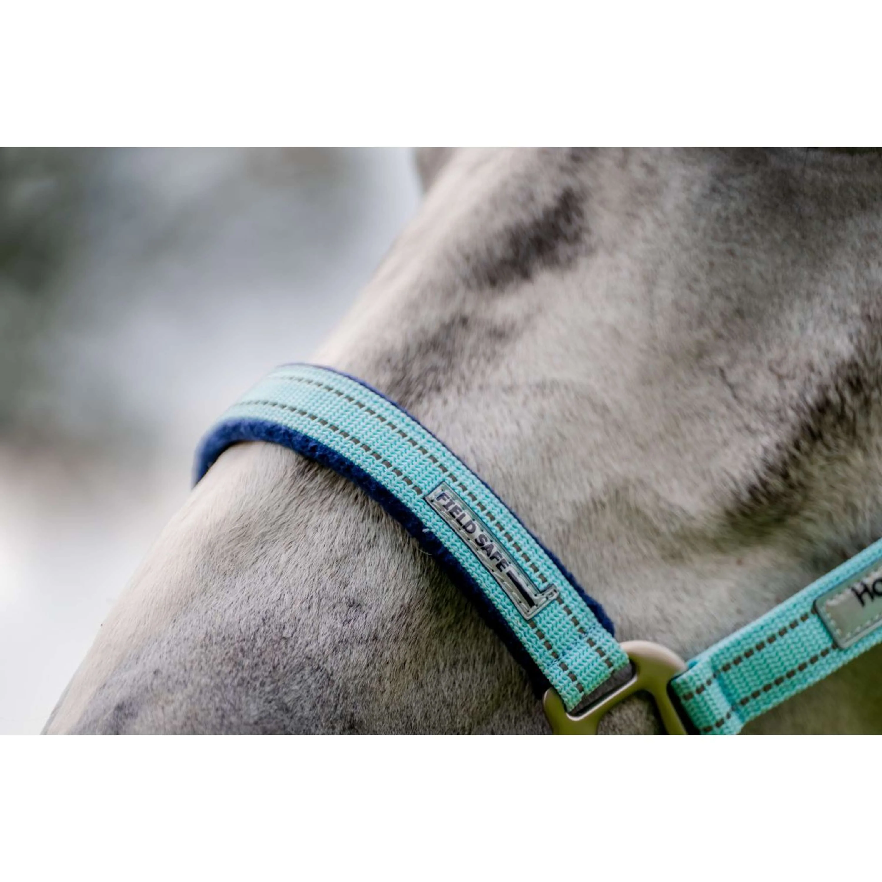 Horseware Licol Field Safe Blue Haze - Image 4