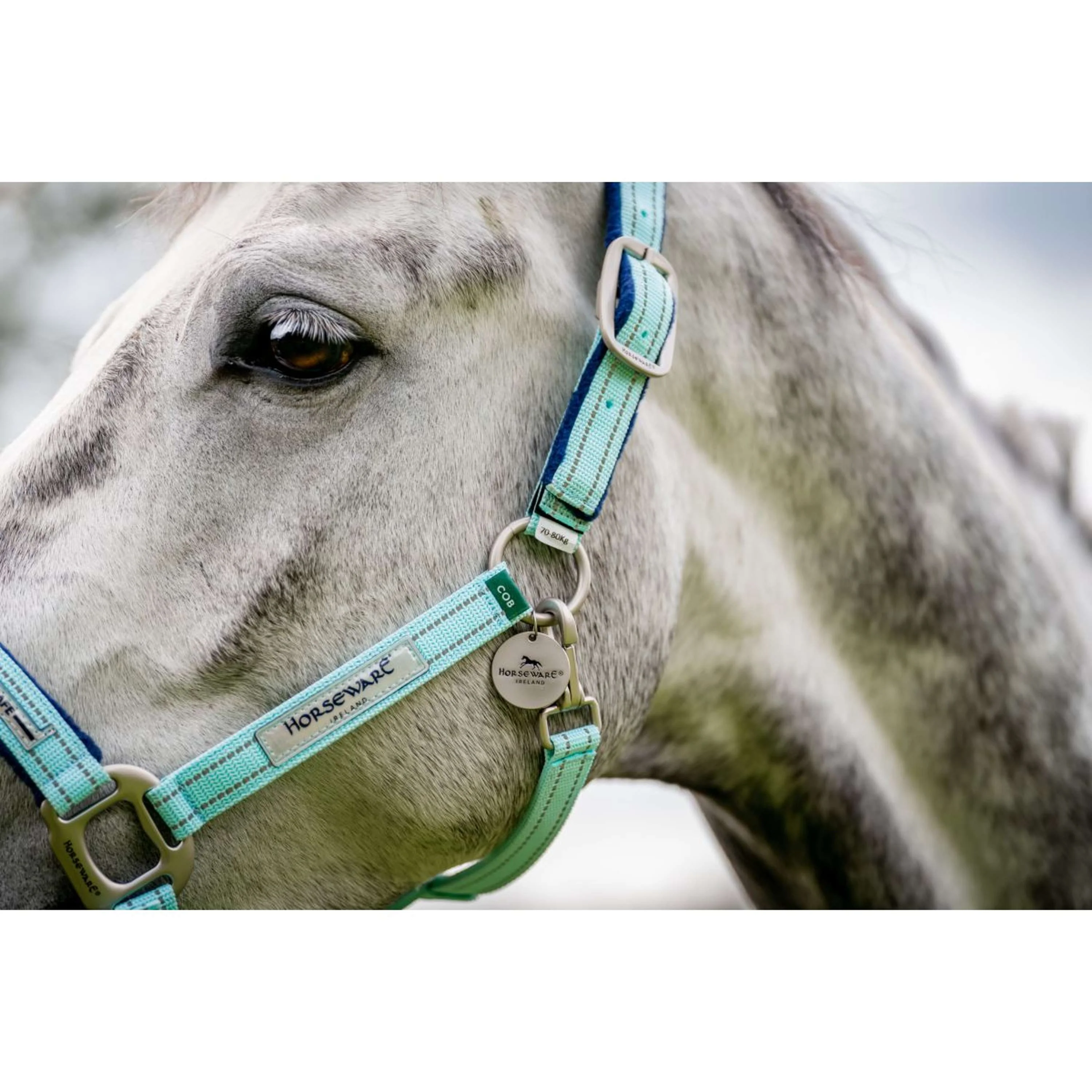 Horseware Licol Field Safe Blue Haze - Image 5