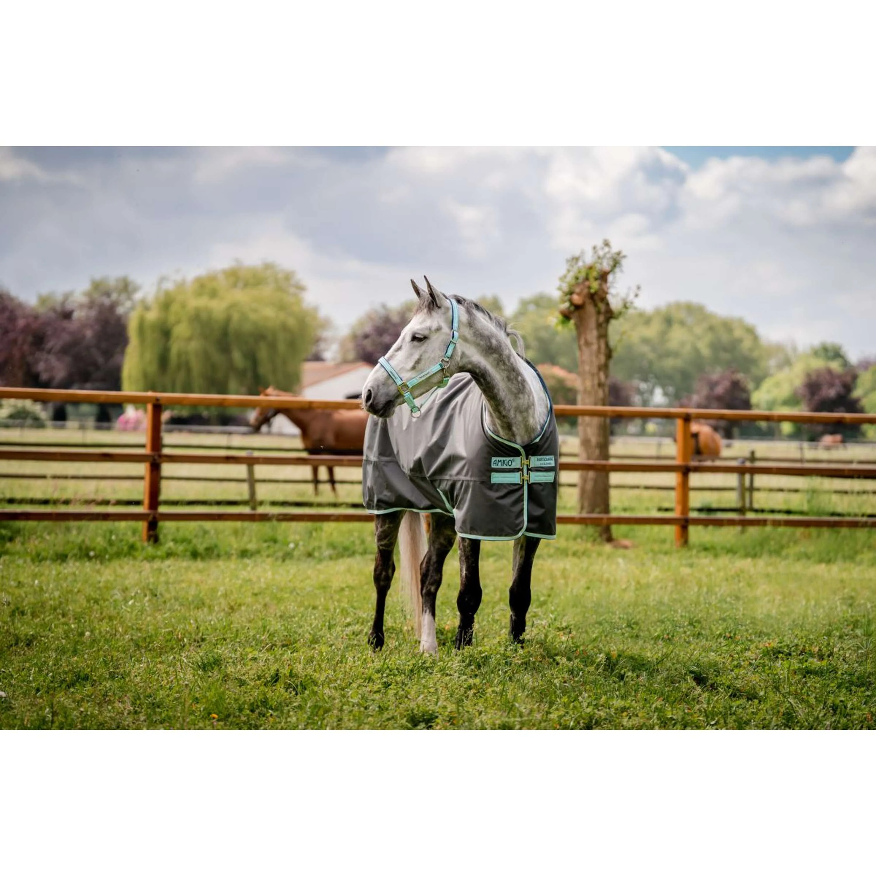 Horseware Licol Field Safe Blue Haze - Image 6