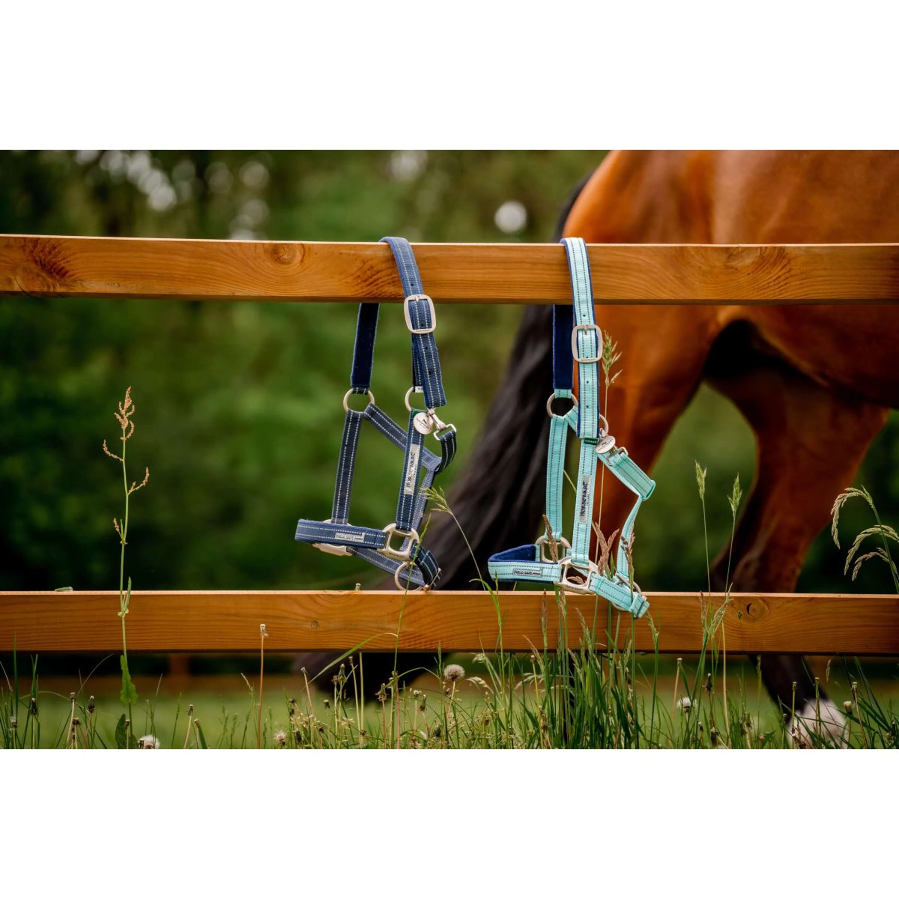 Horseware Licol Field Safe Blue Haze - Image 7