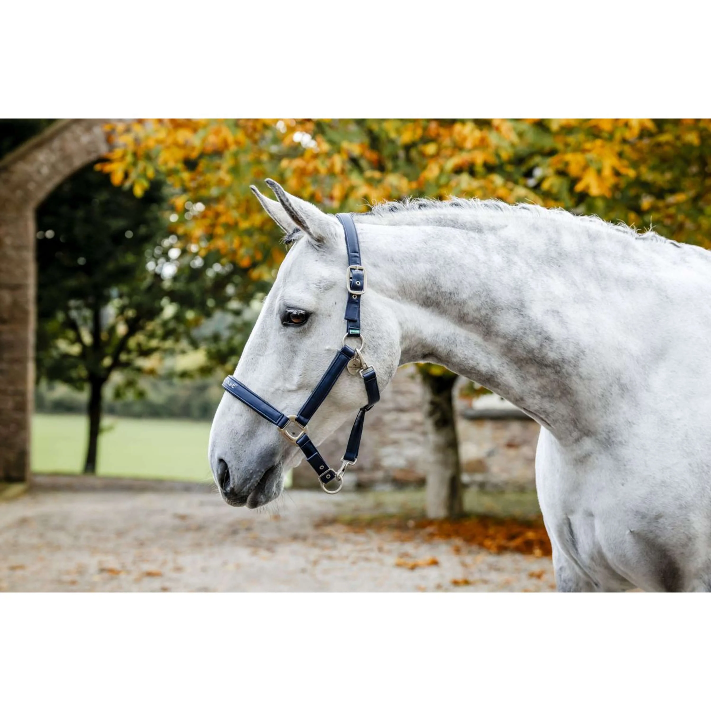 Horseware Licol Grooming Marin - Image 10