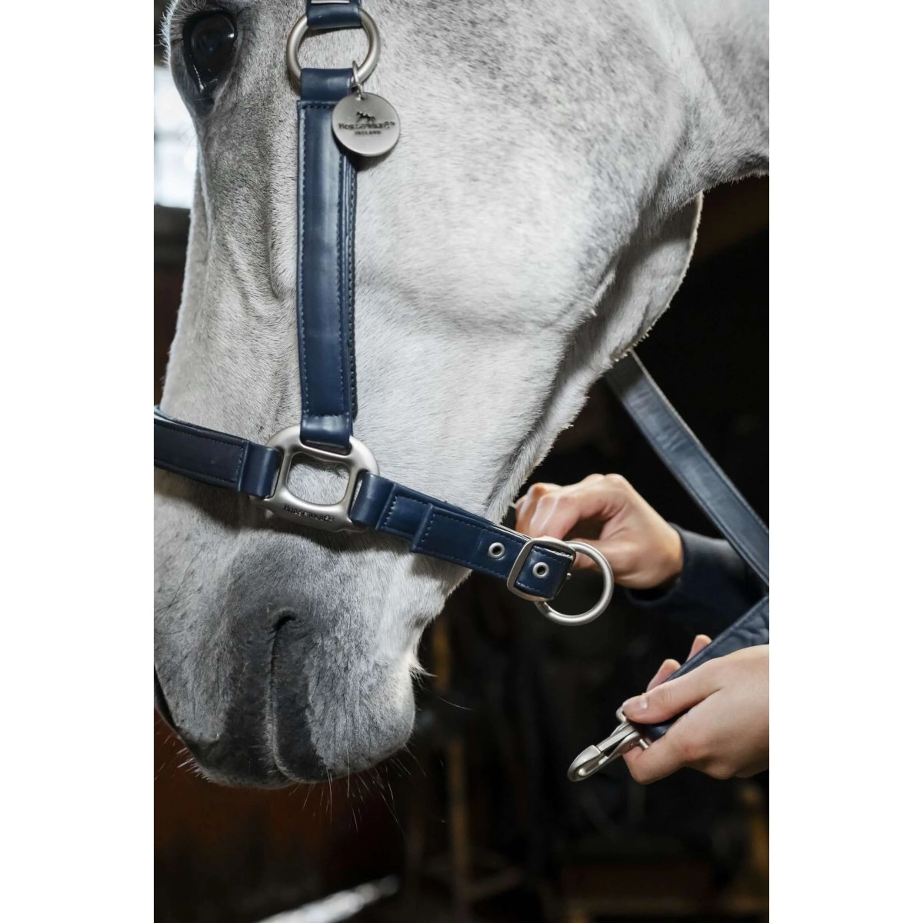 Horseware Licol Grooming Marin - Image 11