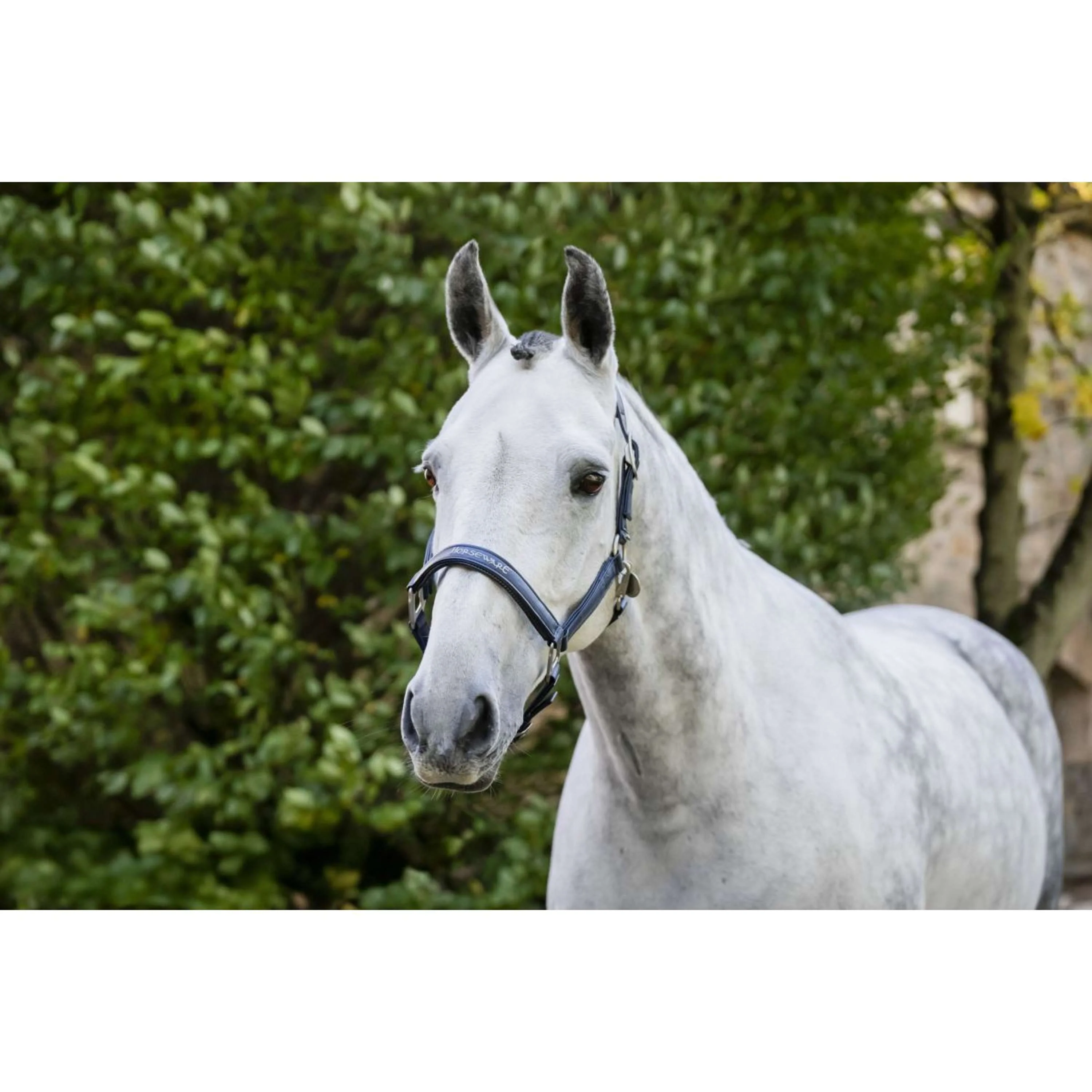 Horseware Licol Grooming Marin - Image 12
