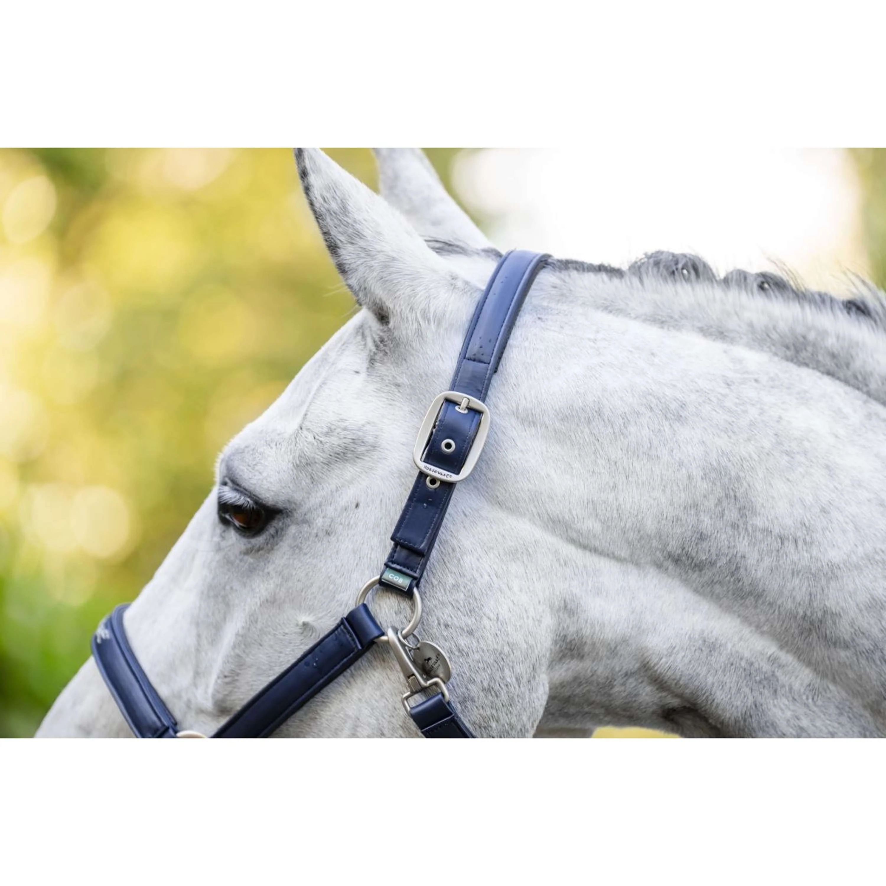 Horseware Licol Grooming Marin - Image 13