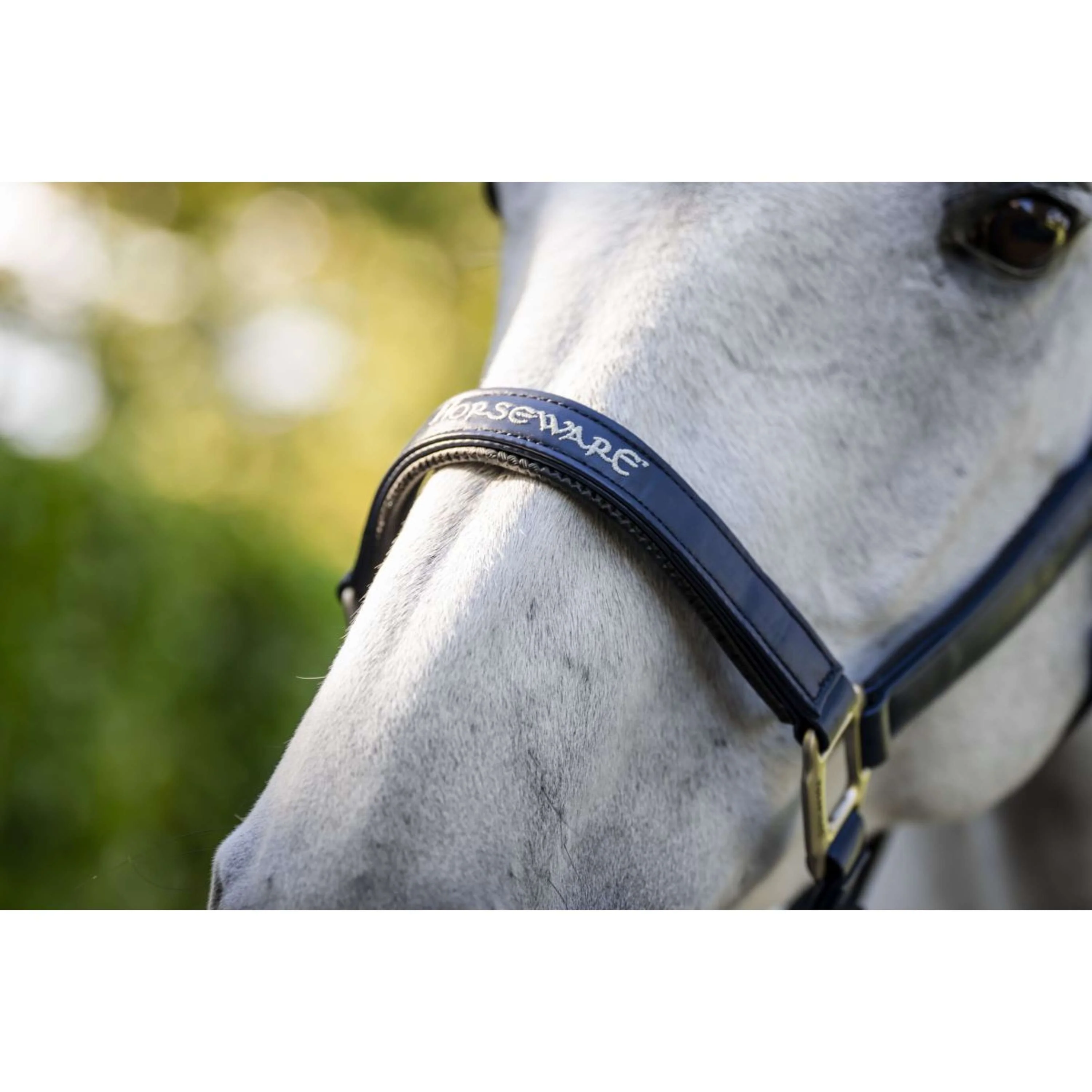 Horseware Licol Grooming Marin - Image 14