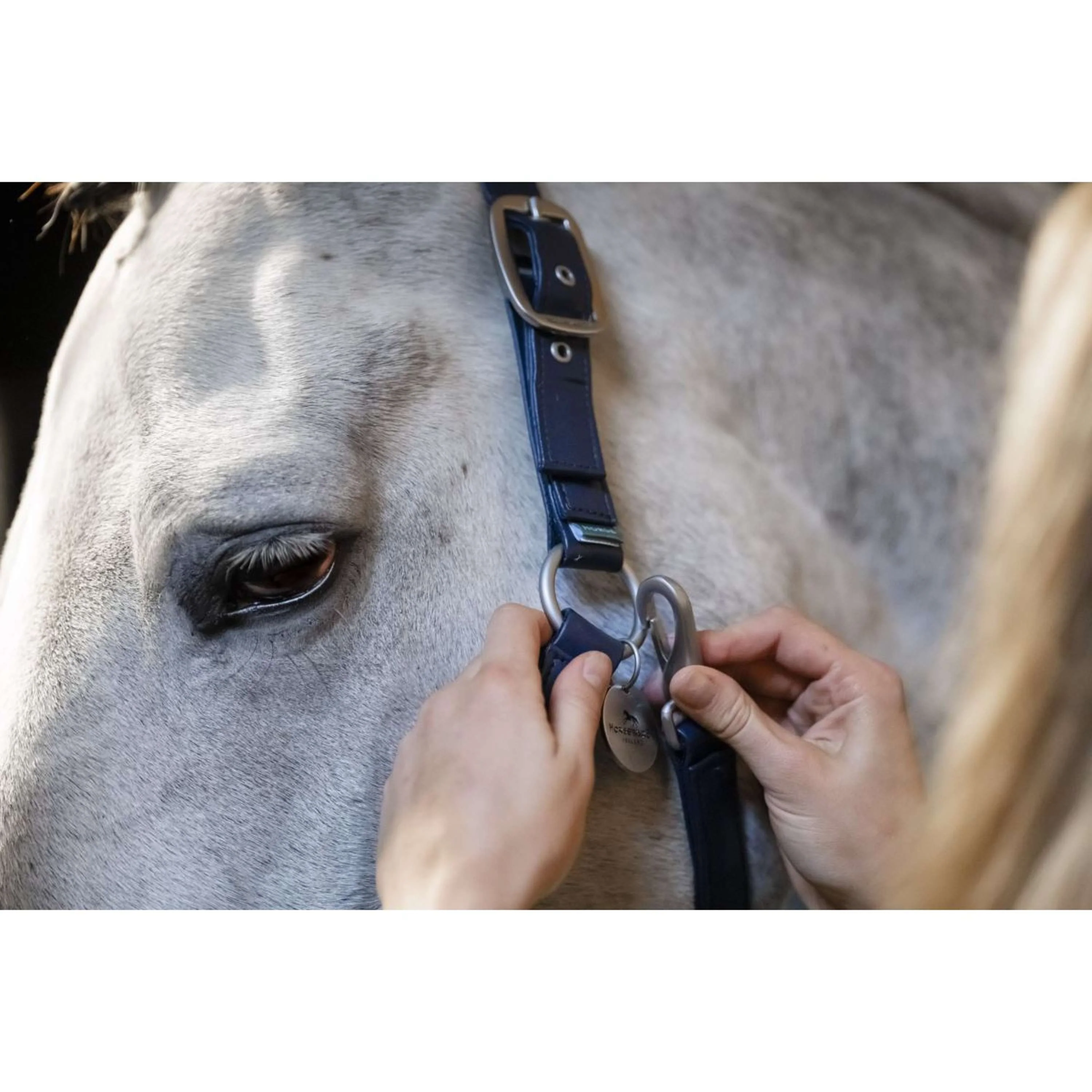 Horseware Licol Grooming Marin - Image 8
