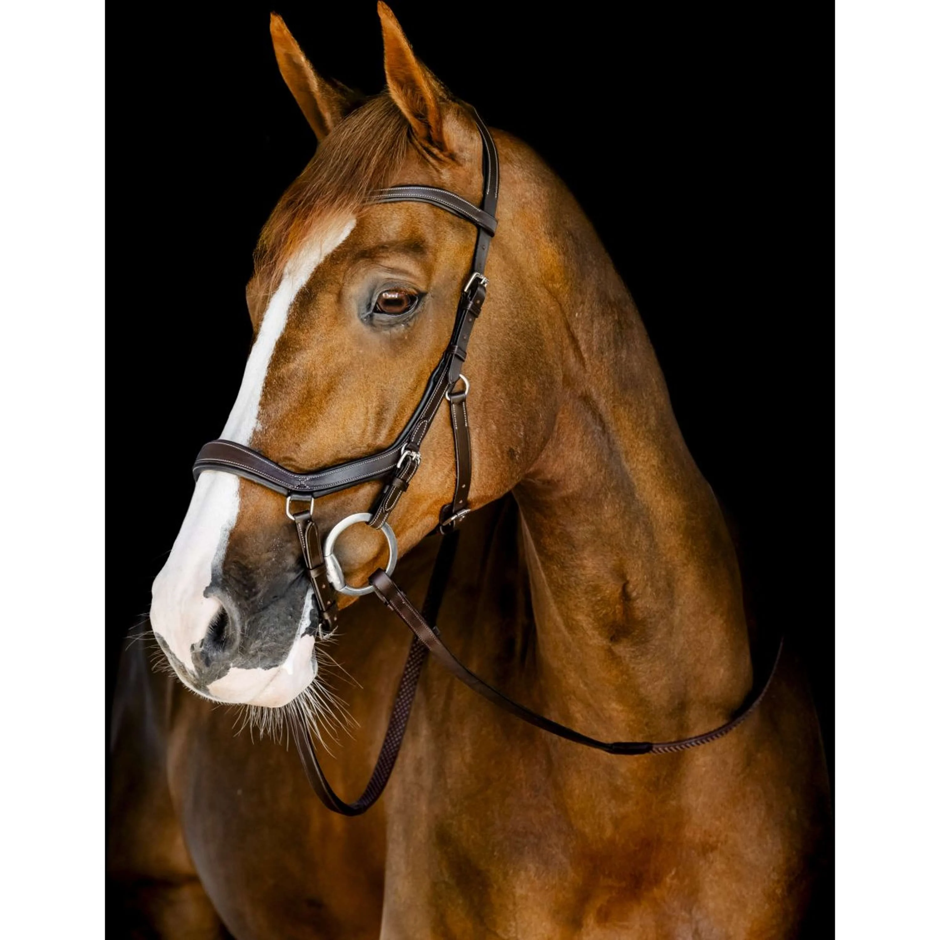 Horseware Micklem Competition Bridle Dark Havana - Image 11