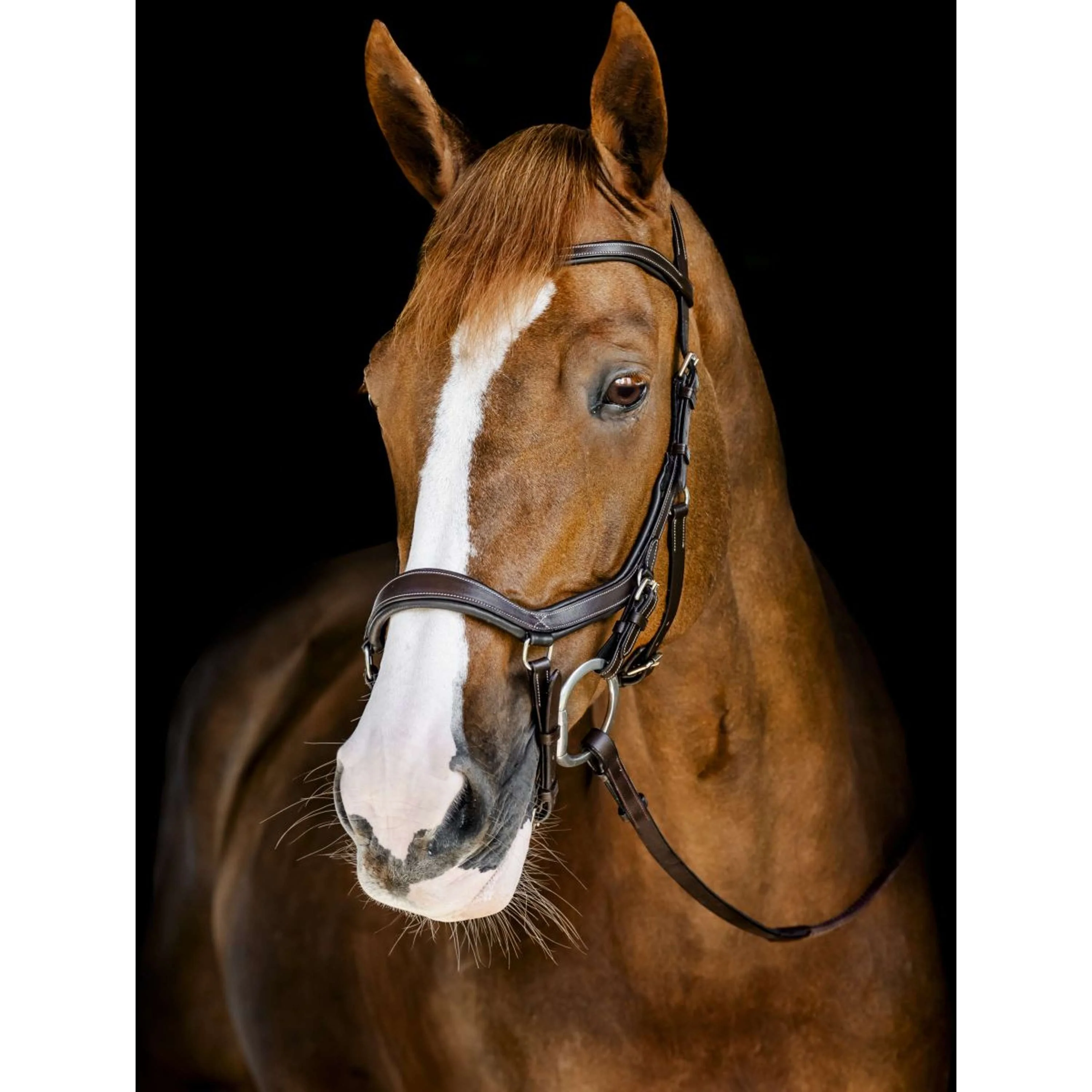 Horseware Micklem Competition Bridle Dark Havana - Image 2