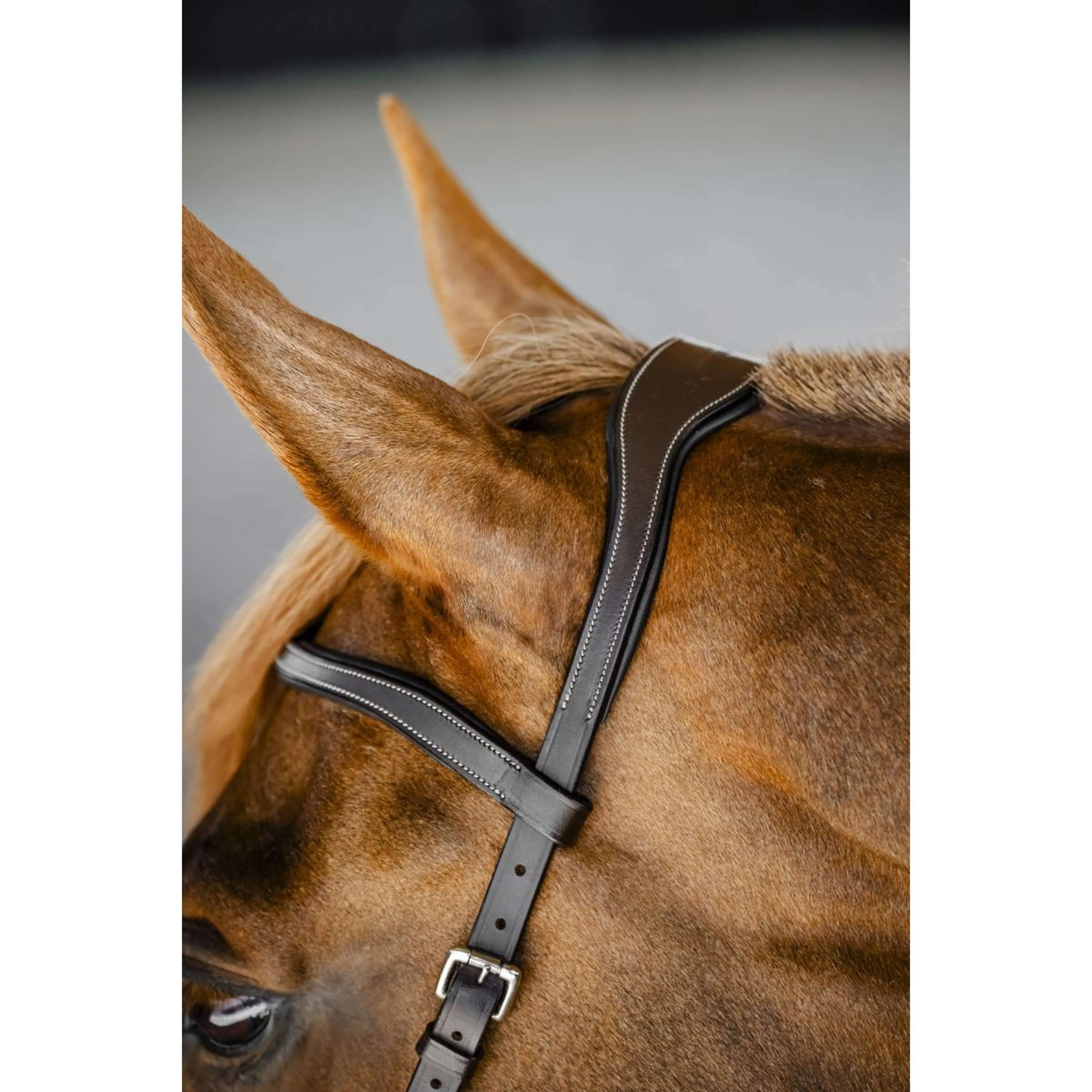 Horseware Micklem Competition Bridle Dark Havana - Image 9